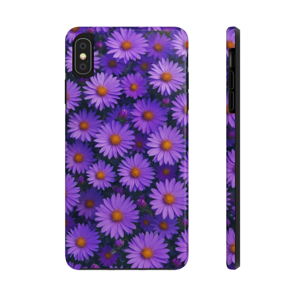 Lavender Daisy