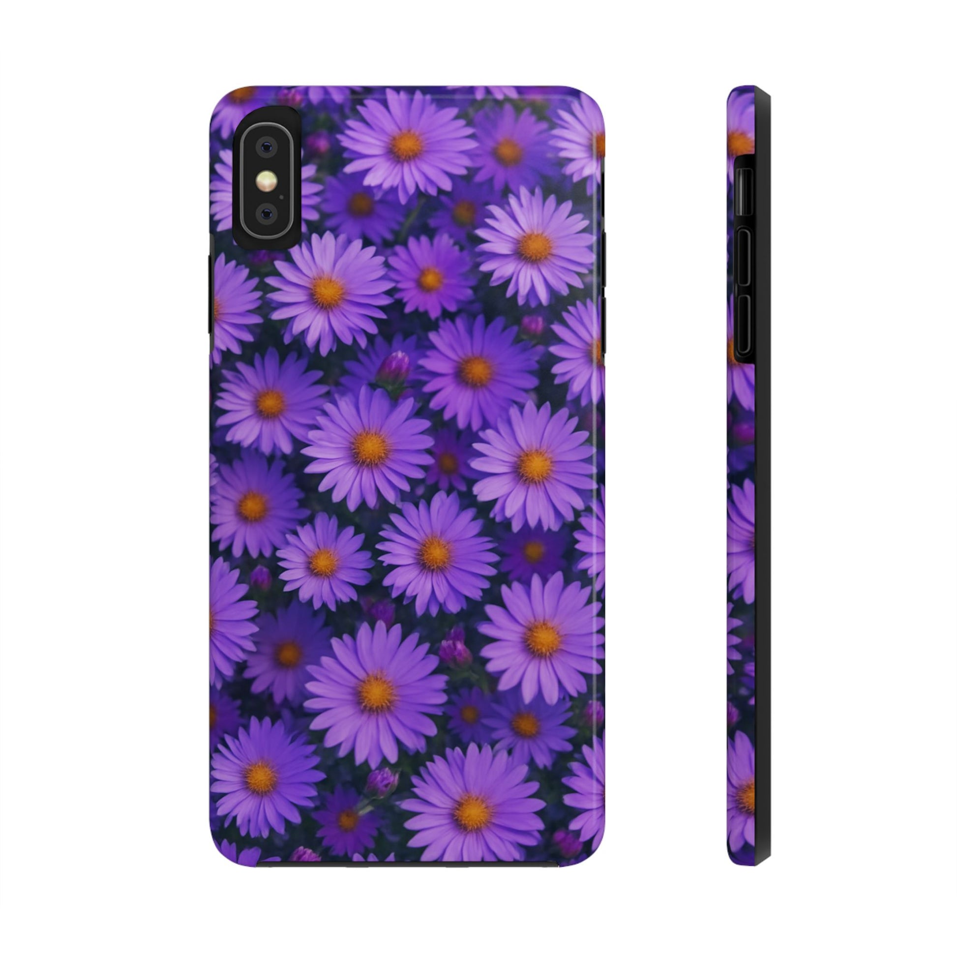 Lavender Daisy