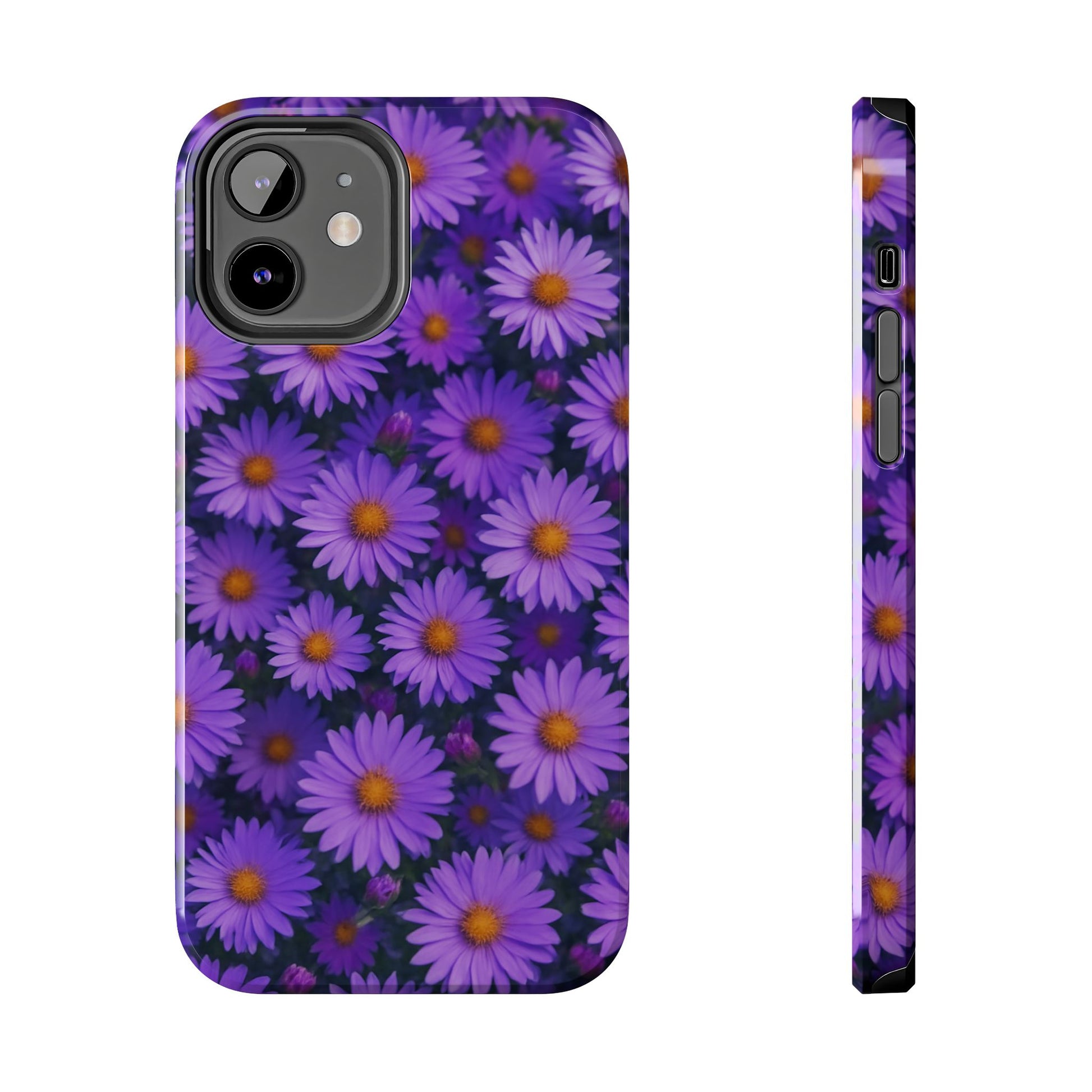 Lavender Daisy