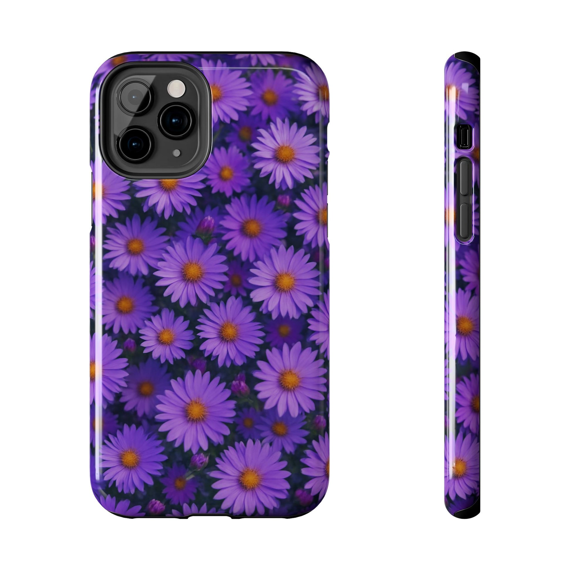 Lavender Daisy