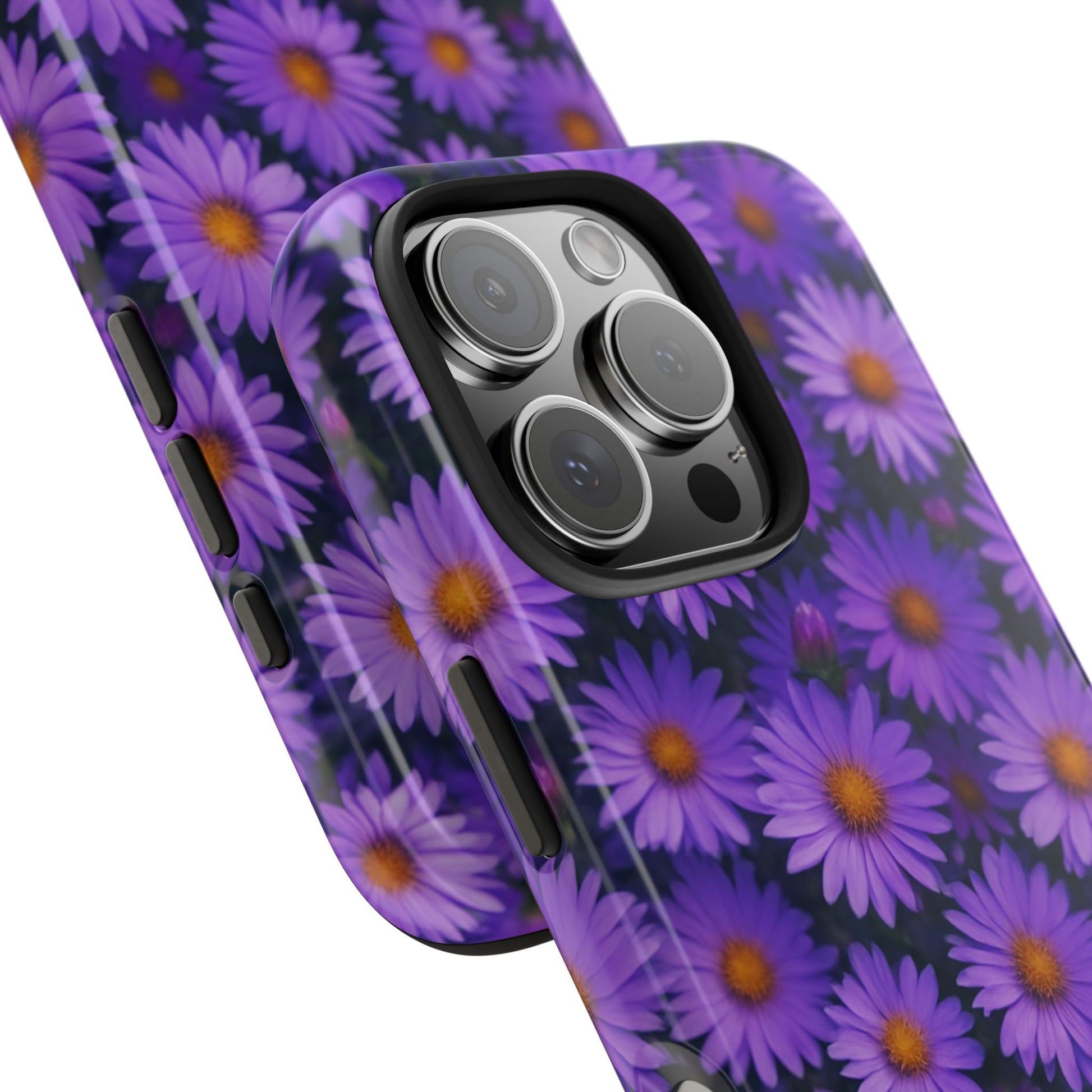 Lavender Daisy