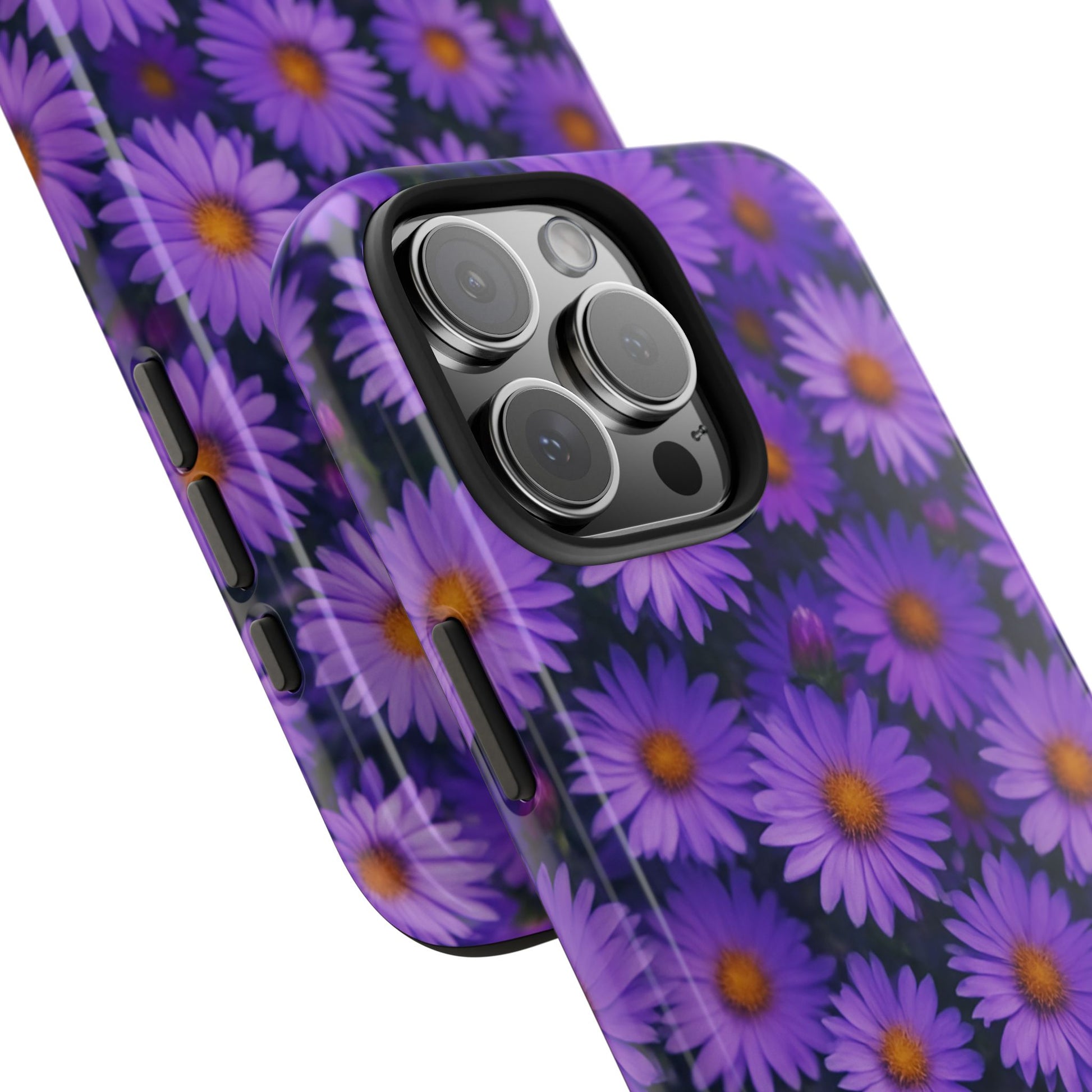 Lavender Daisy