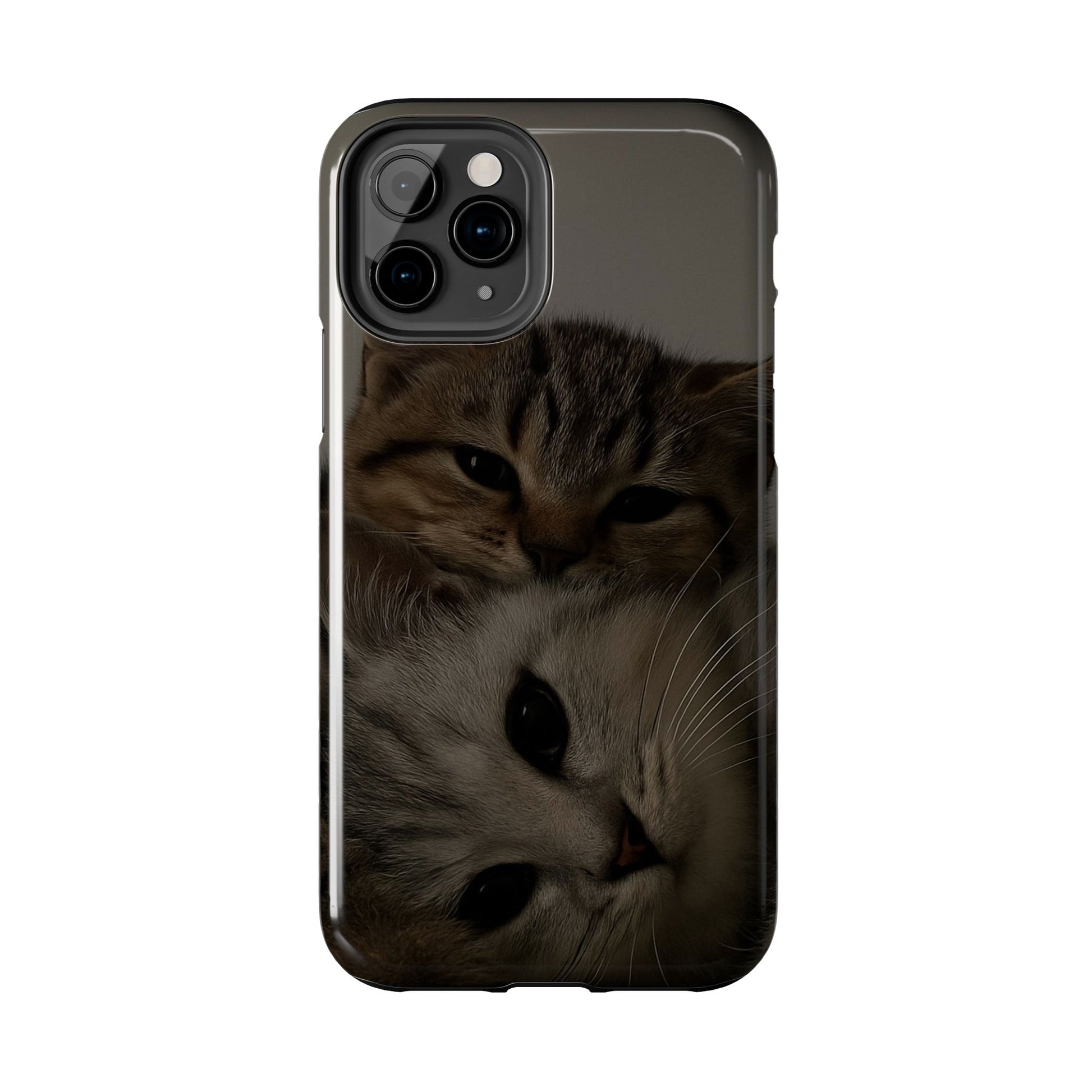 Purring Duo