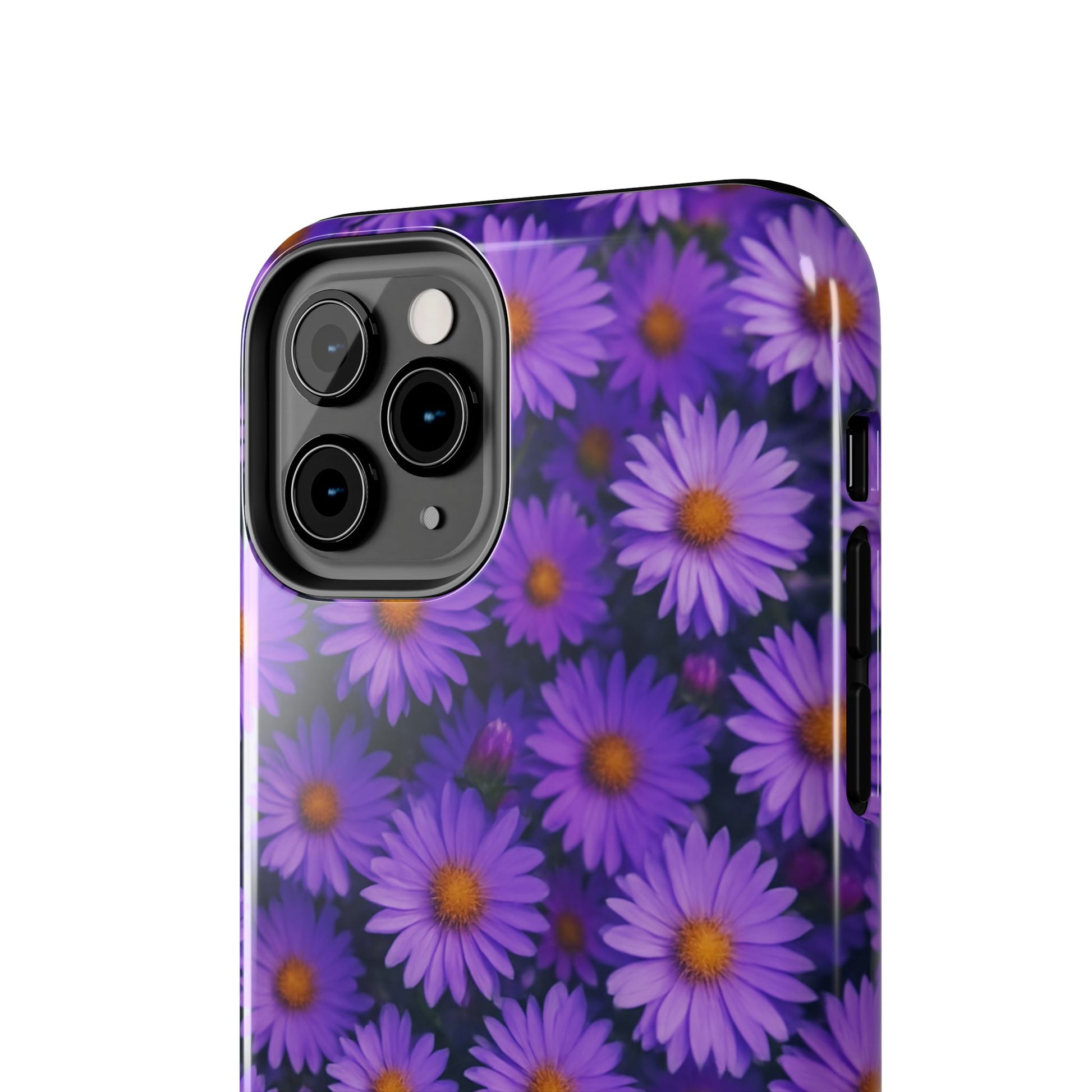 Lavender Daisy
