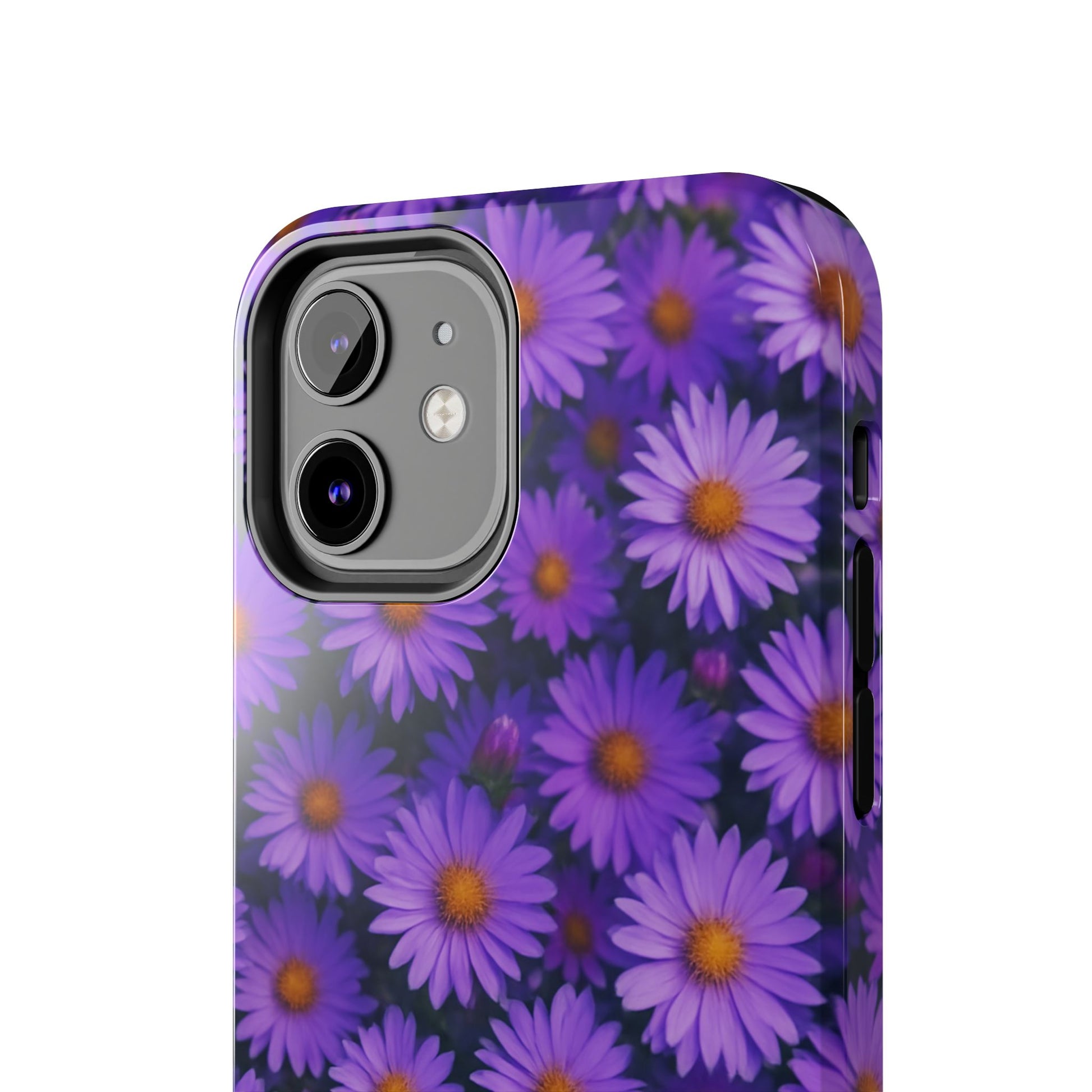 Lavender Daisy