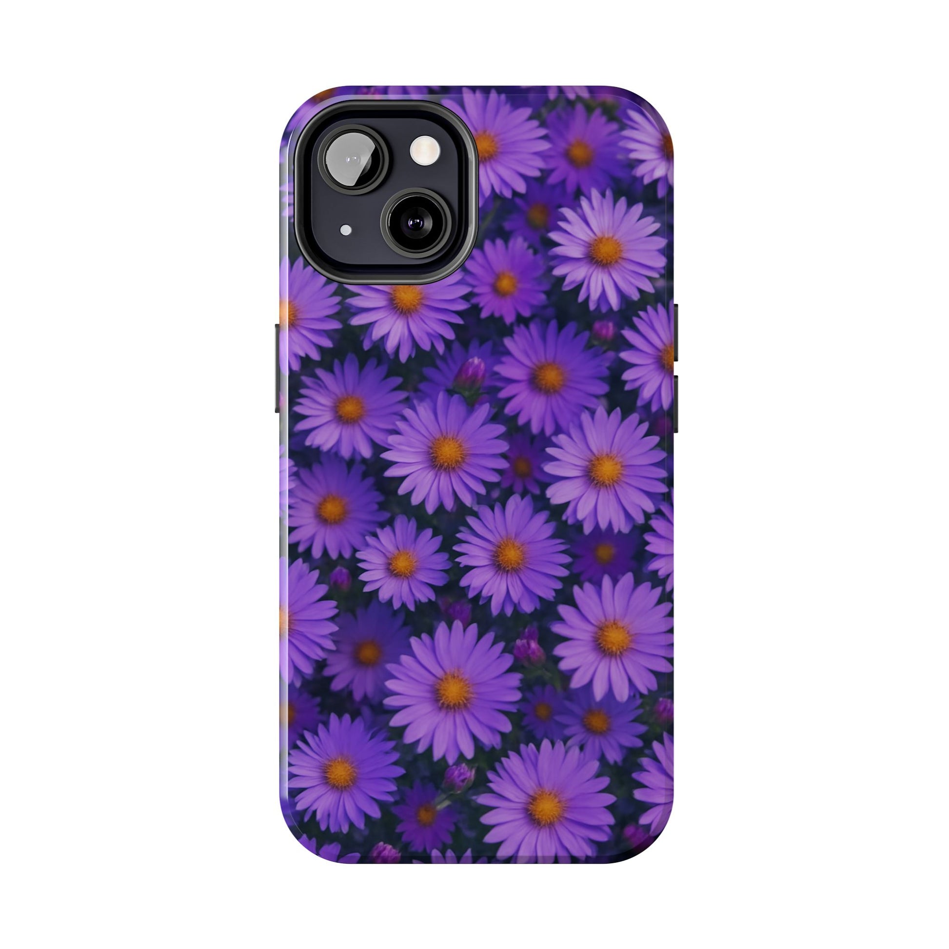 Lavender Daisy