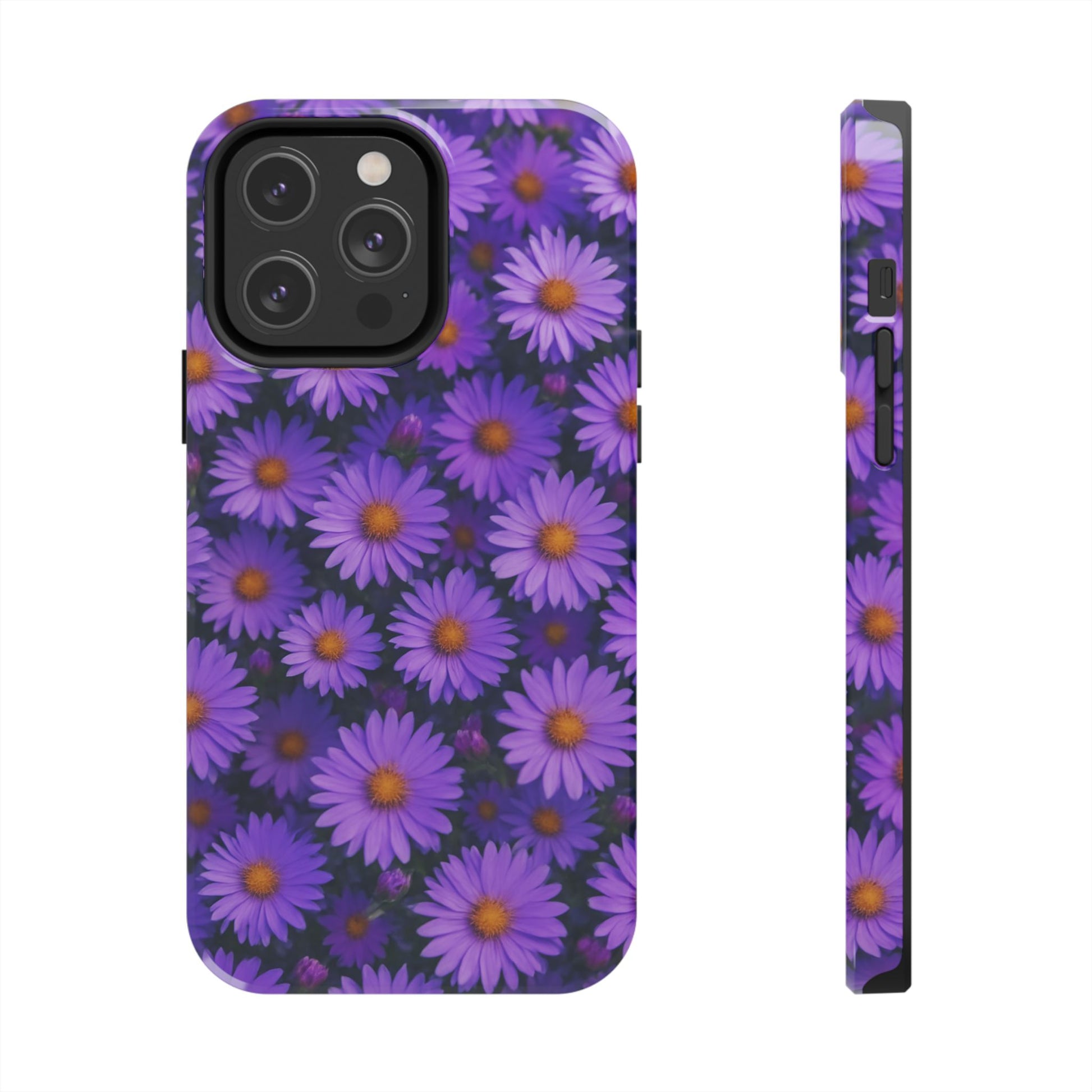 Lavender Daisy