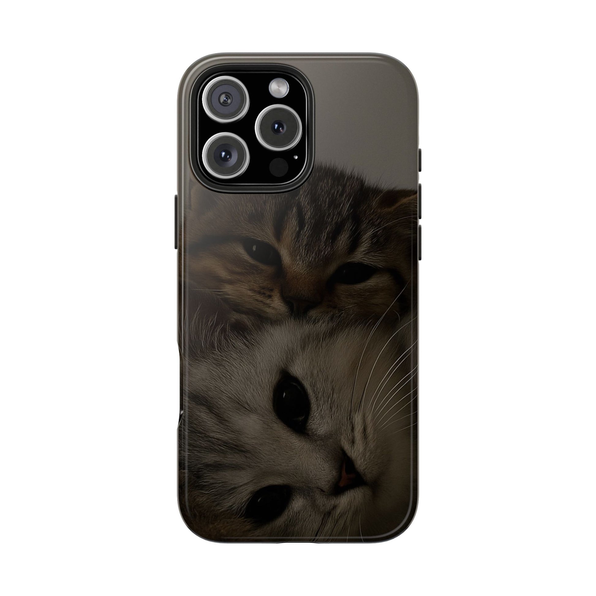 Purring Duo