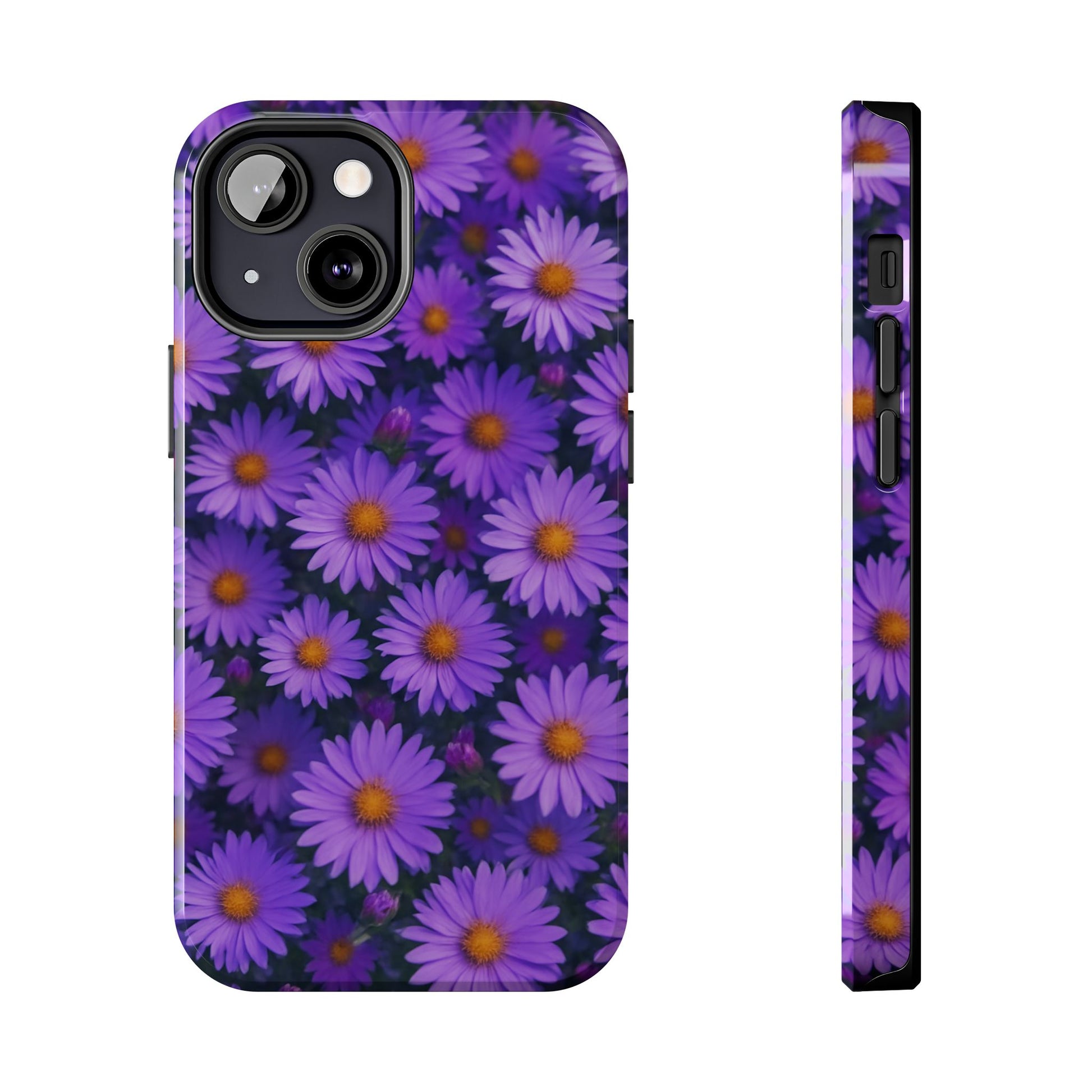 Lavender Daisy