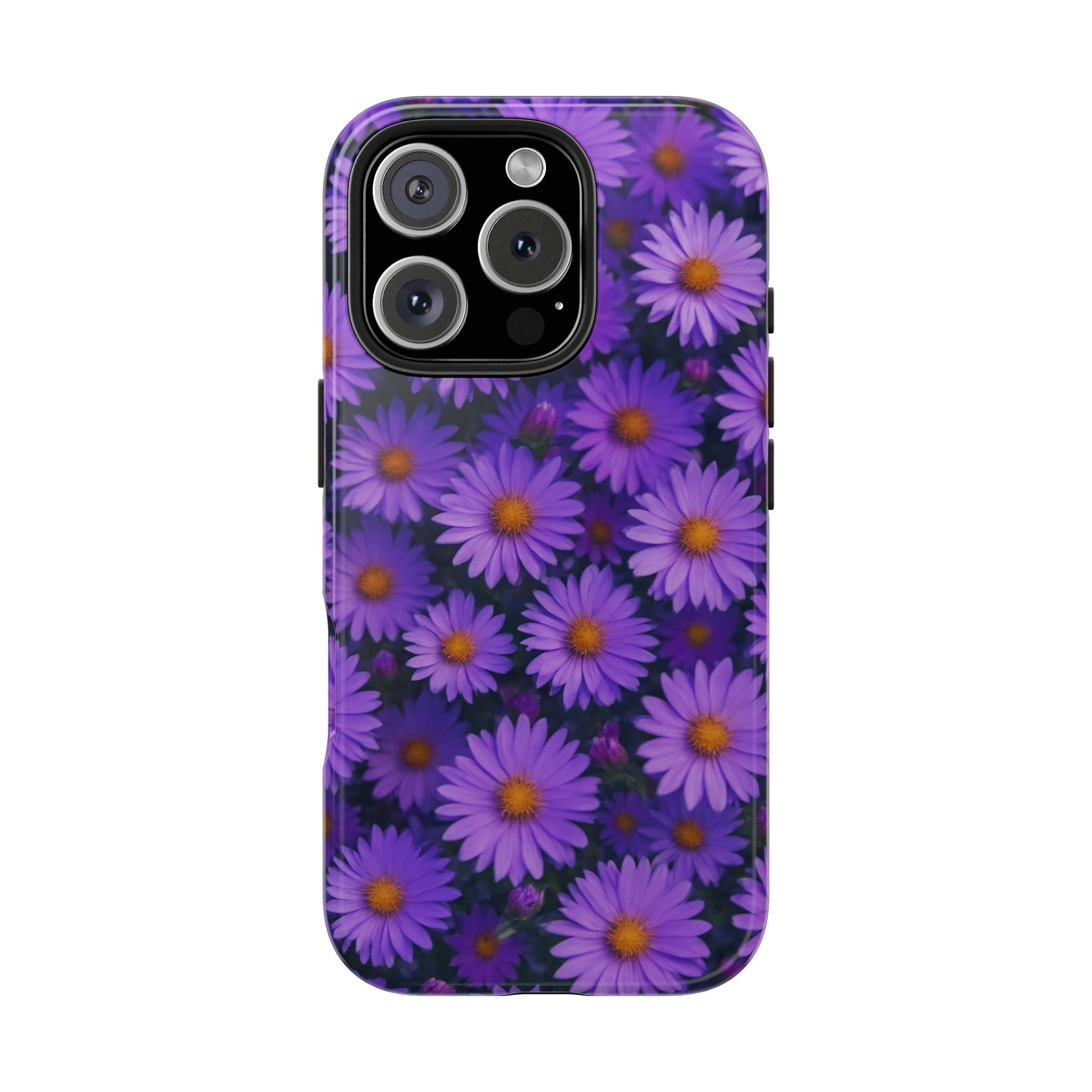 Lavender Daisy
