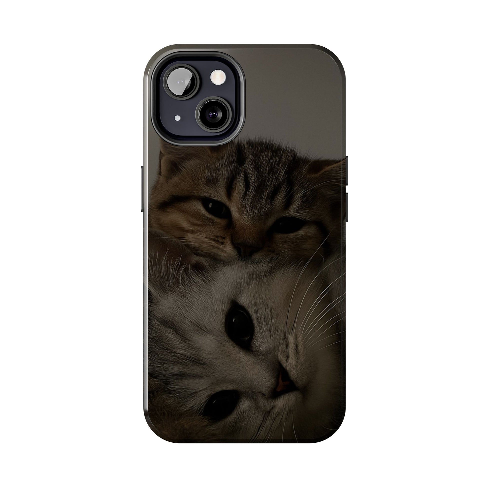 Purring Duo
