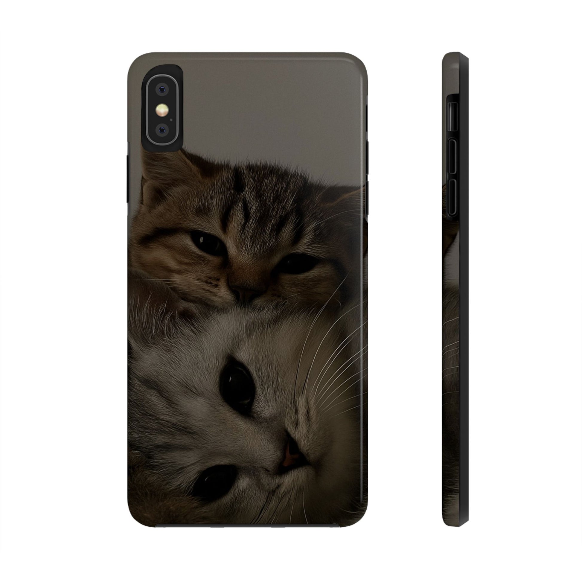 Purring Duo