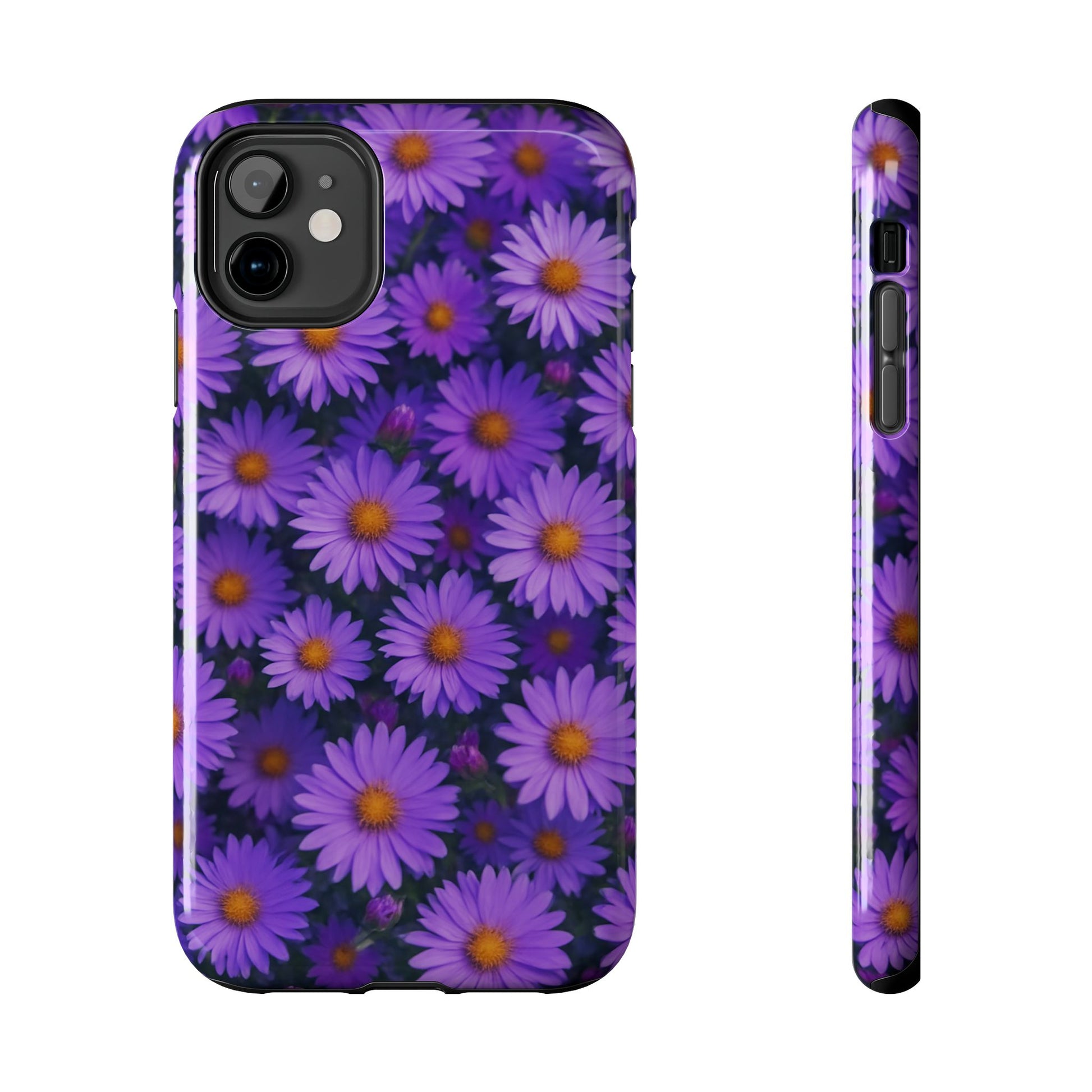 Lavender Daisy