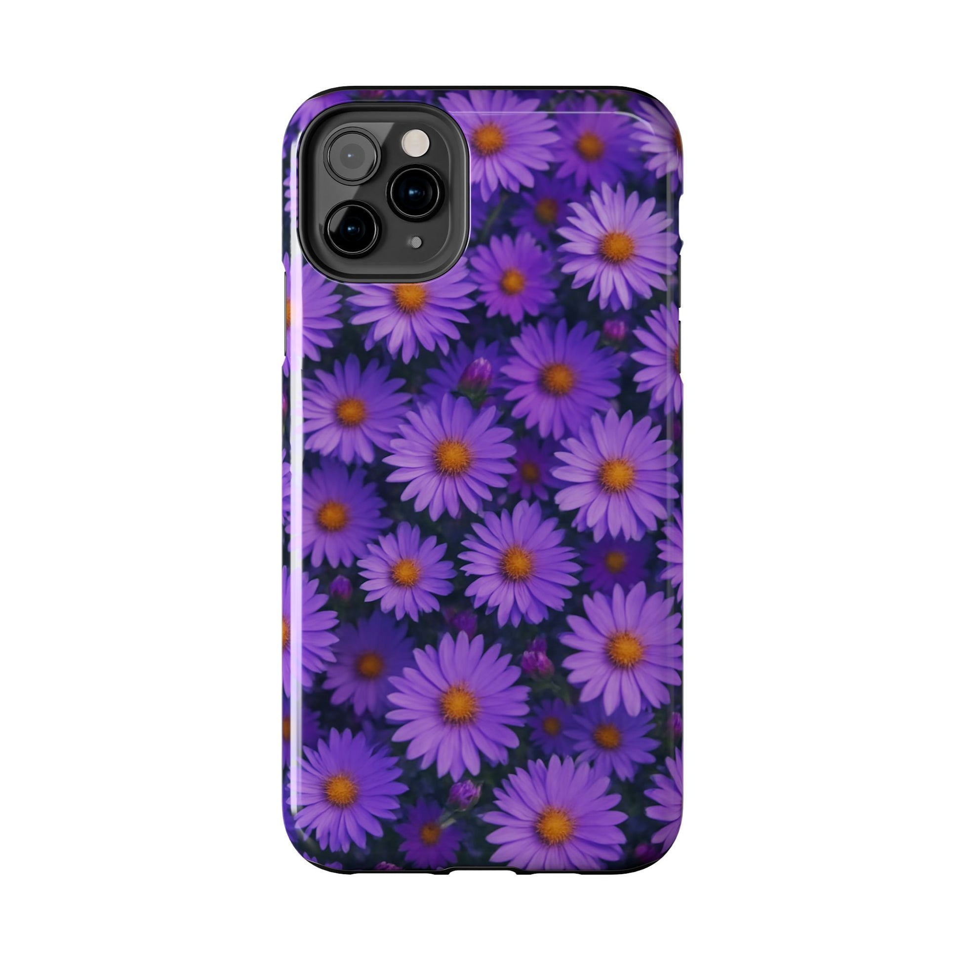 Lavender Daisy