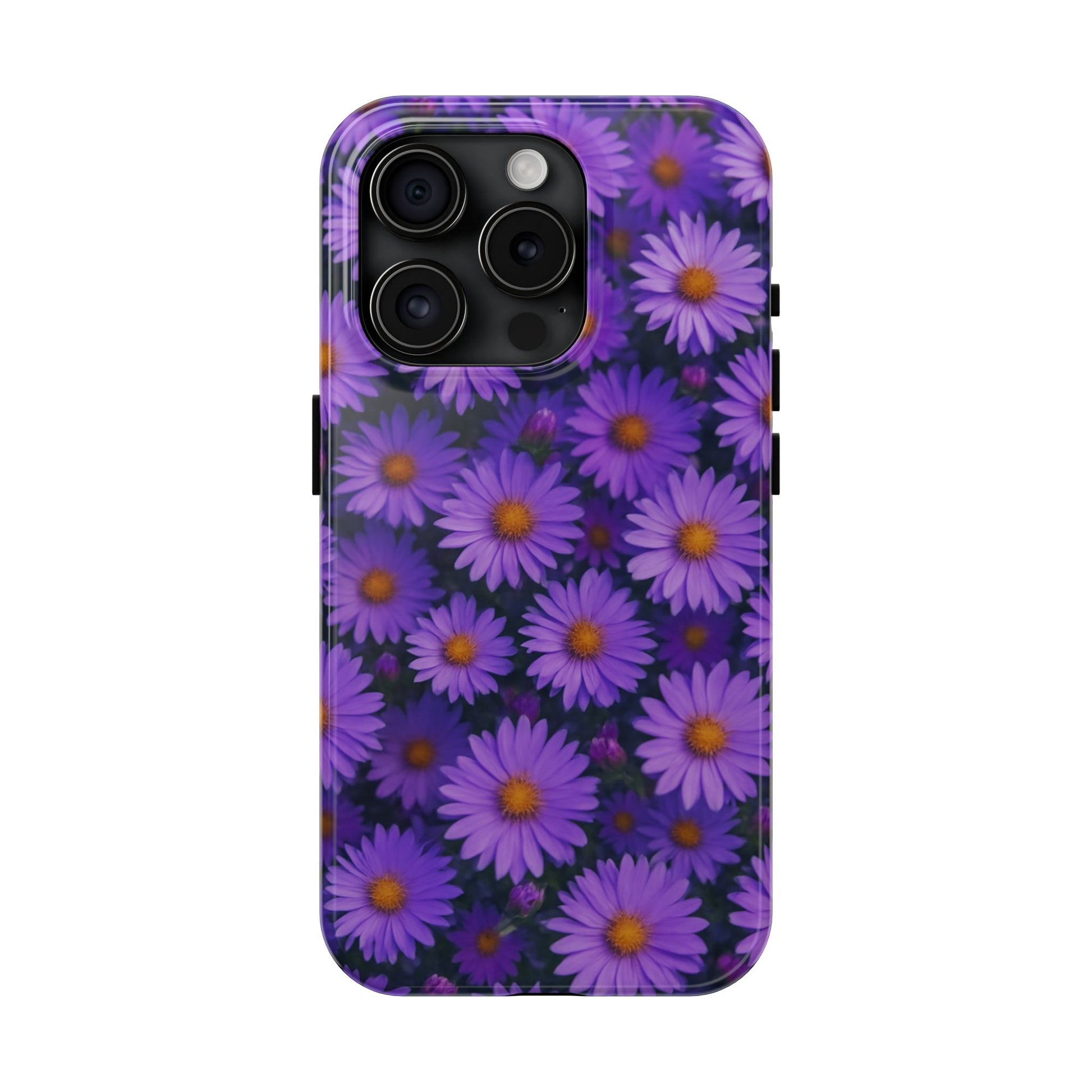 Lavender Daisy
