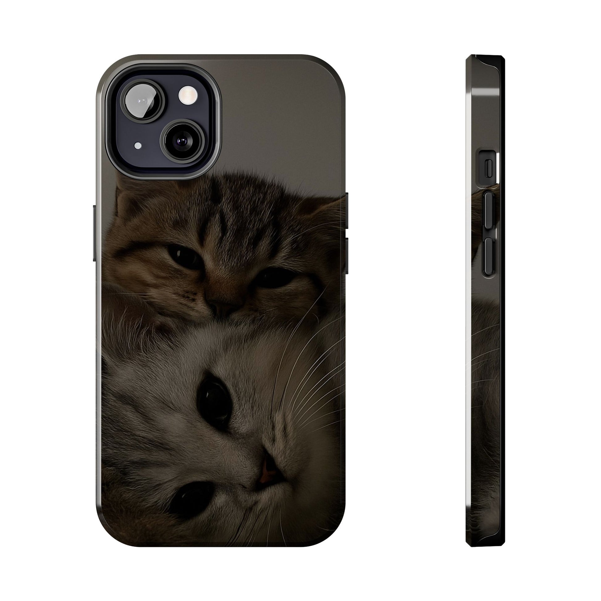 Purring Duo
