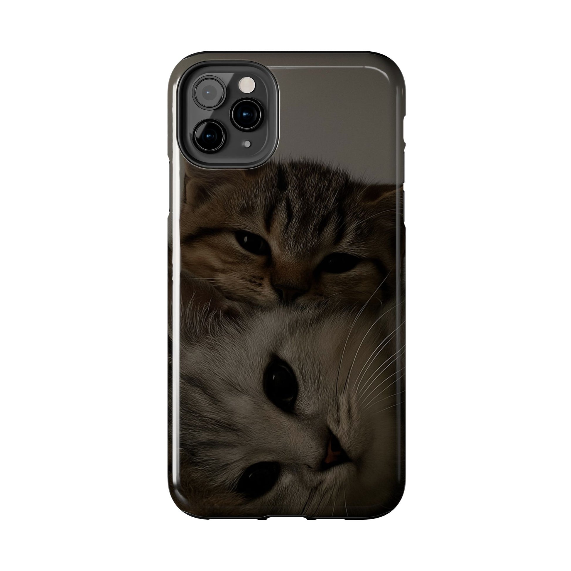 Purring Duo