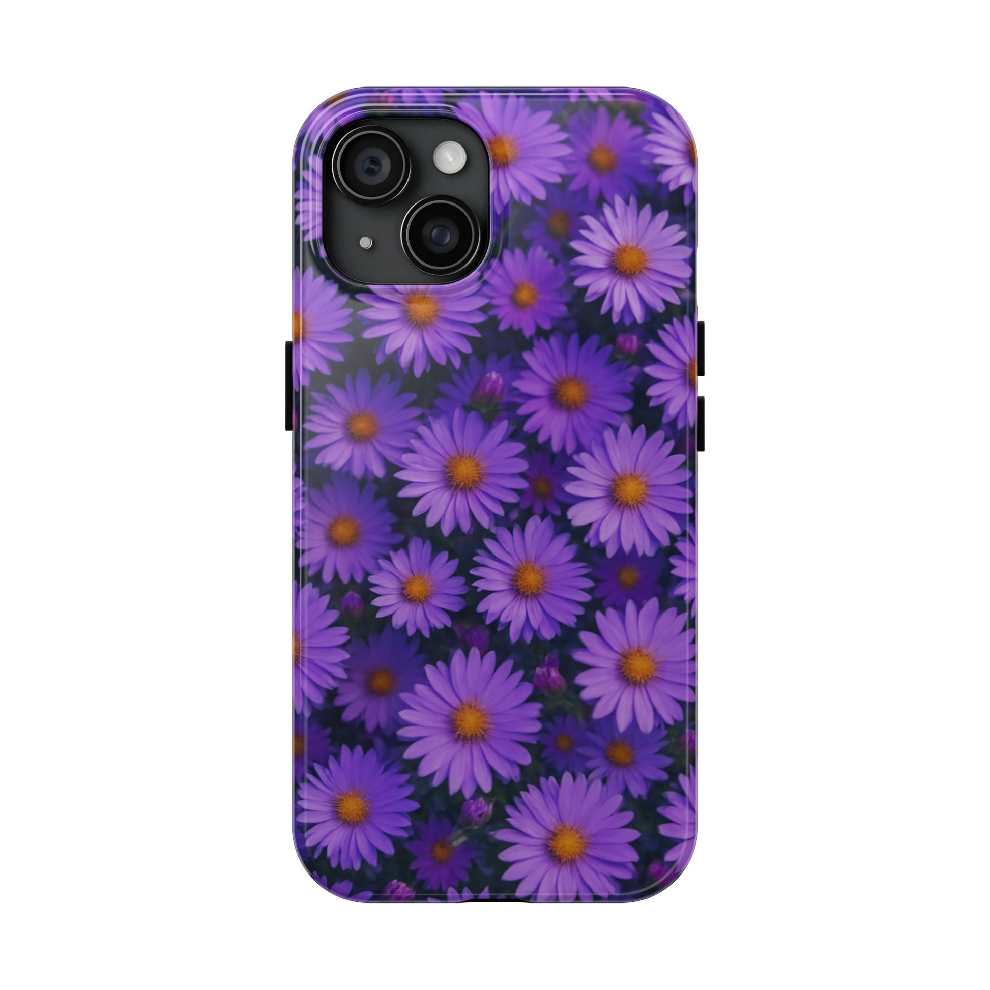 Lavender Daisy
