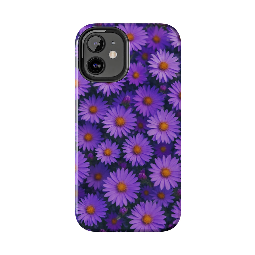 Lavender Daisy