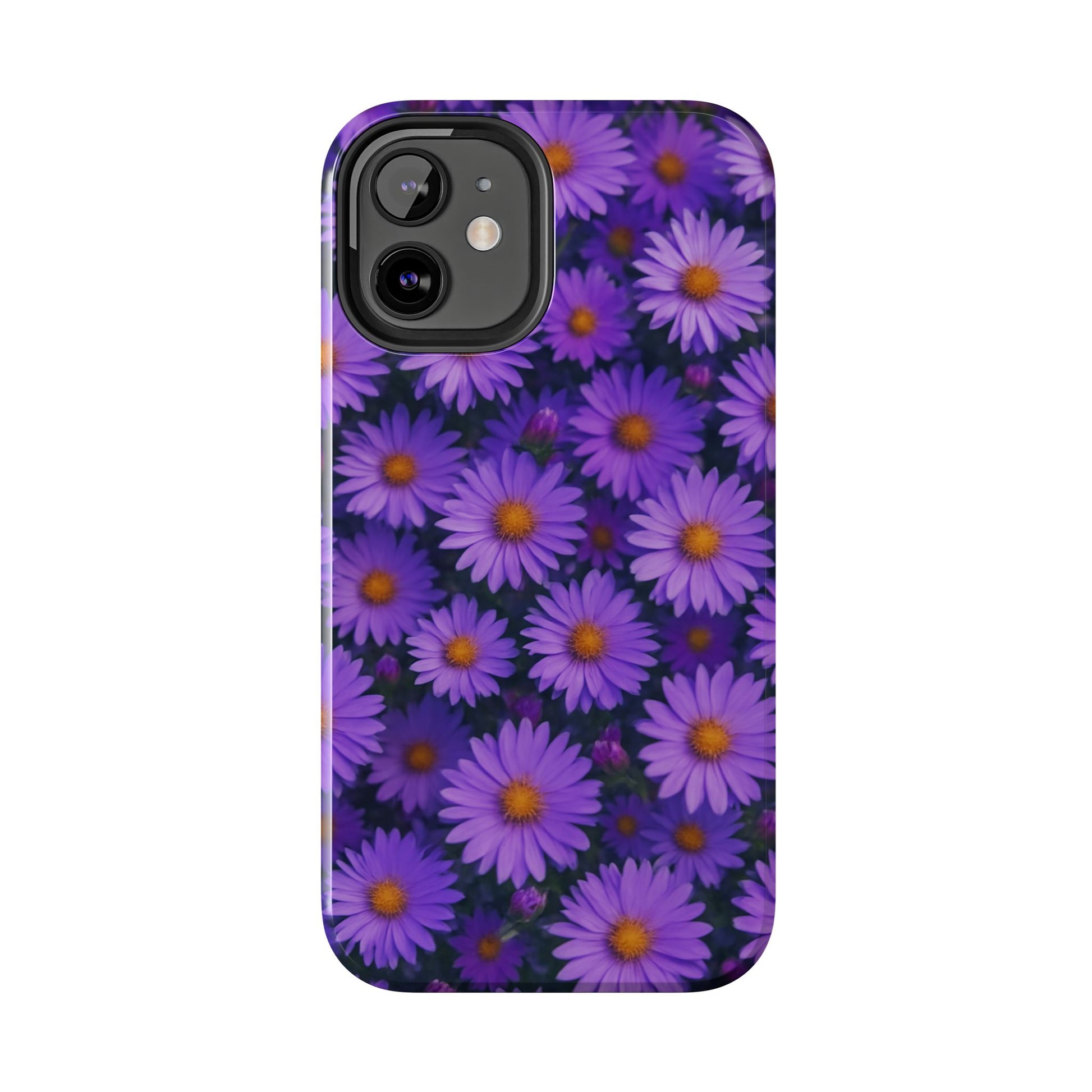 Lavender Daisy