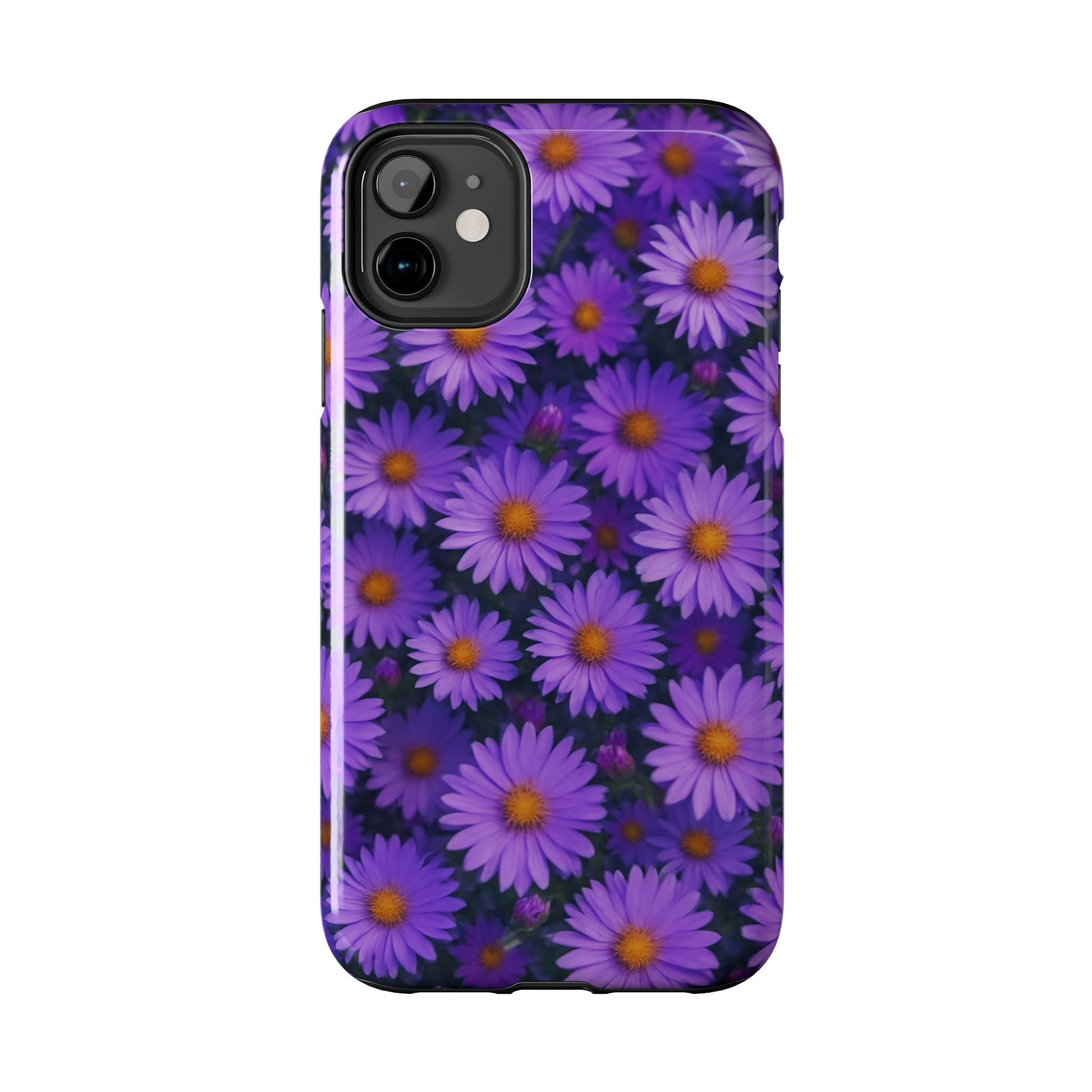 Lavender Daisy