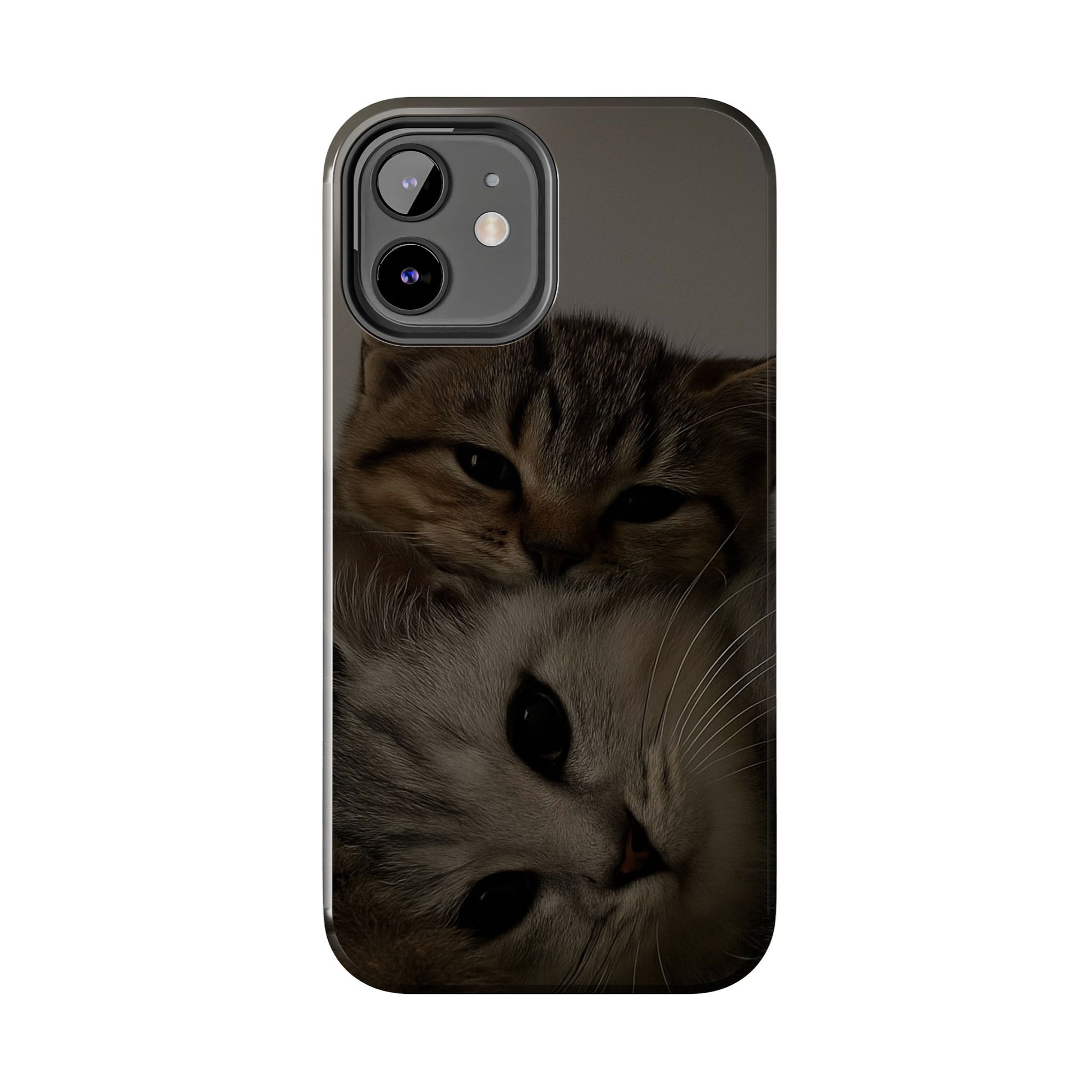 Purring Duo