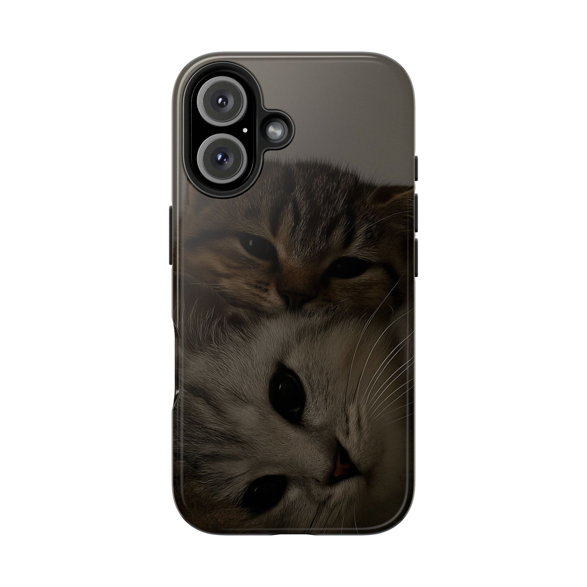 Purring Duo