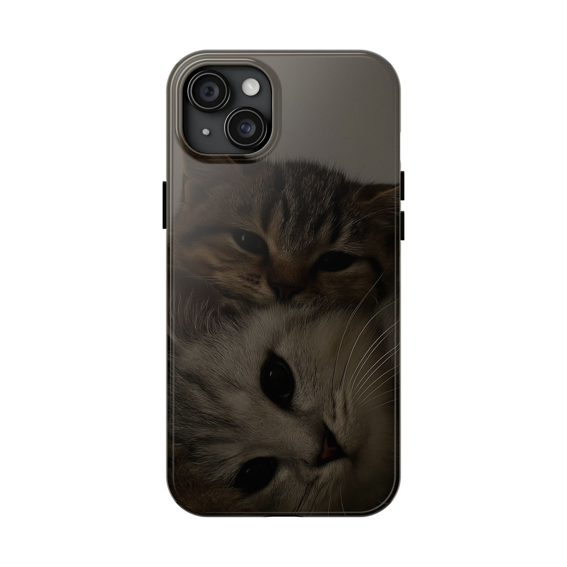 Purring Duo