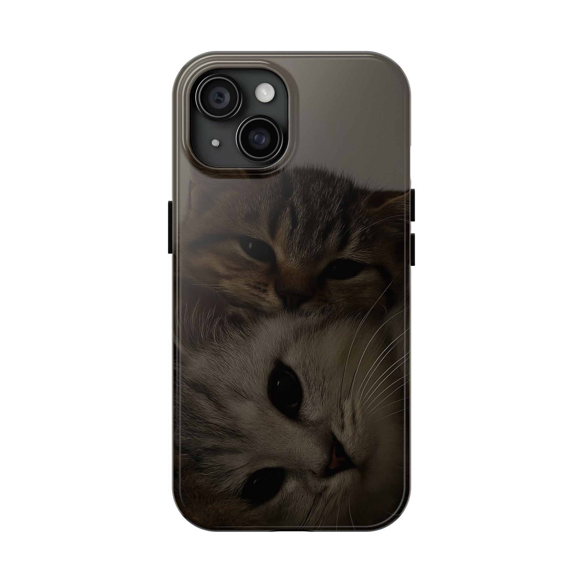 Purring Duo