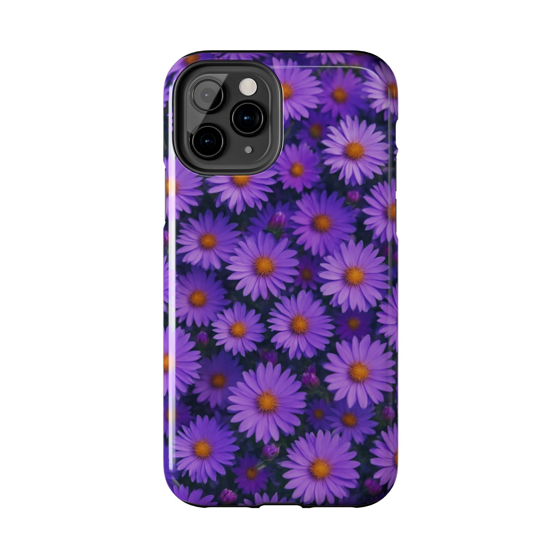 Lavender Daisy