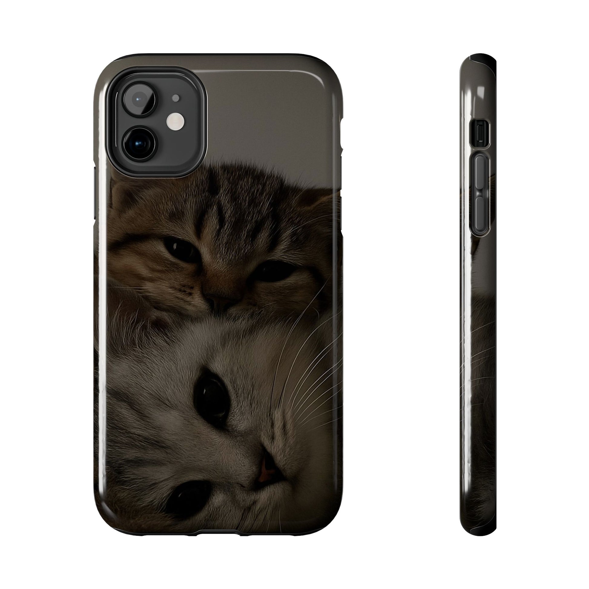 Purring Duo