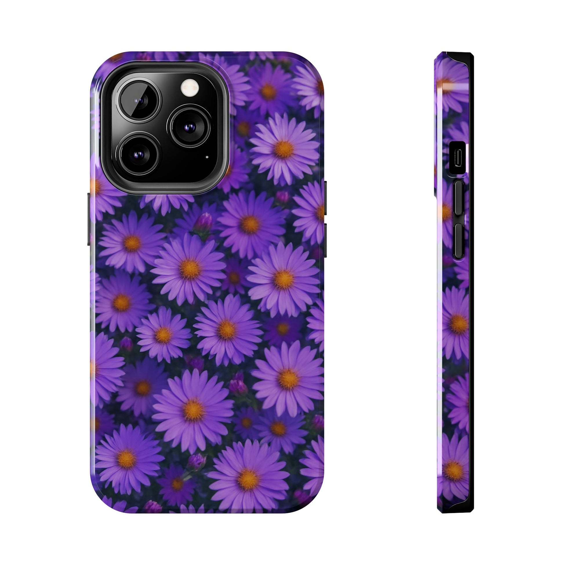 Lavender Daisy