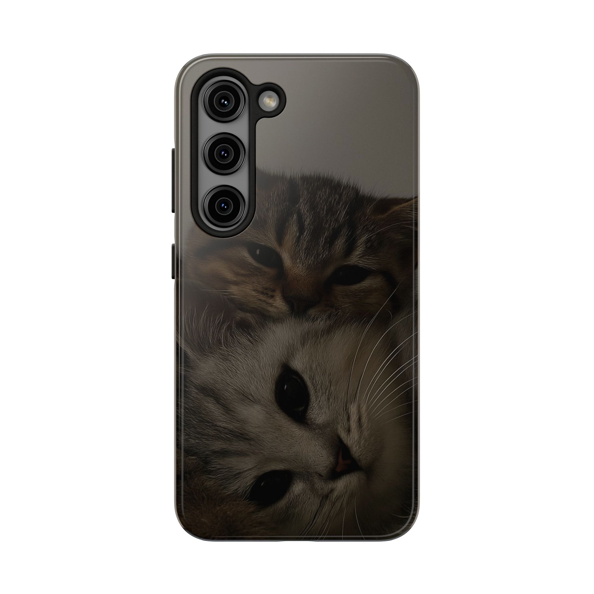 Purring Duo