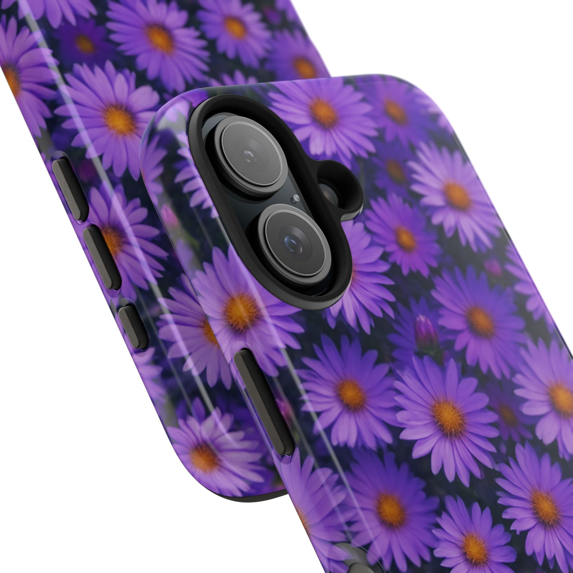 Lavender Daisy