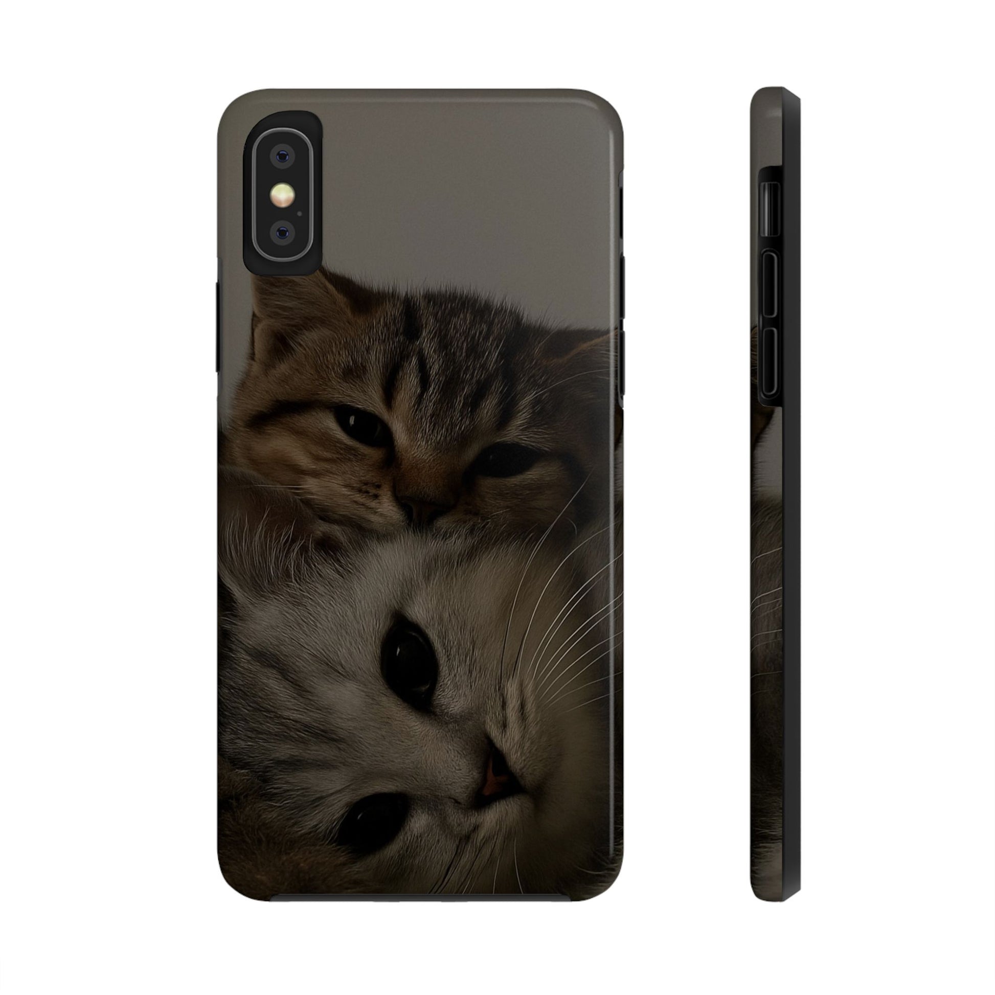Purring Duo