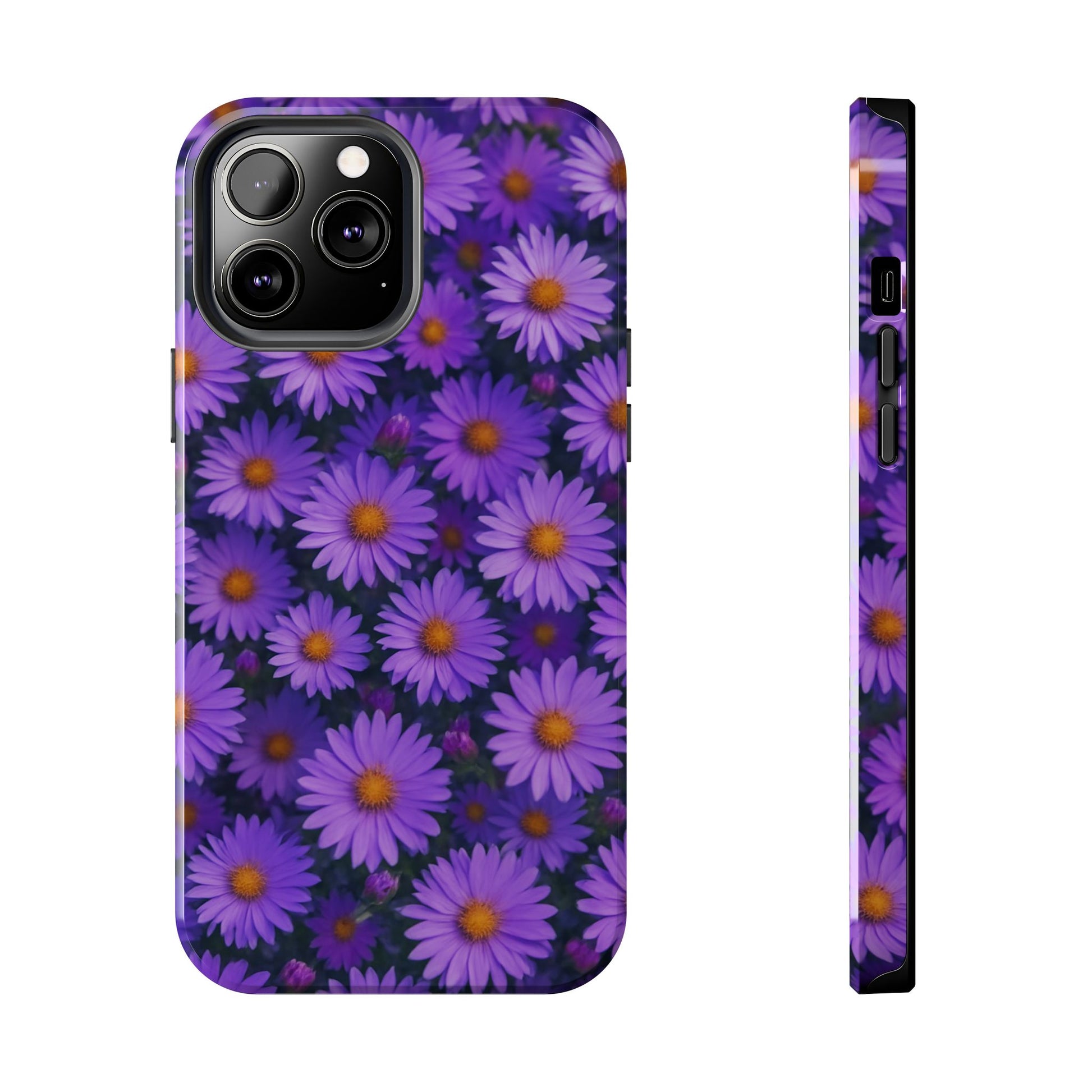 Lavender Daisy