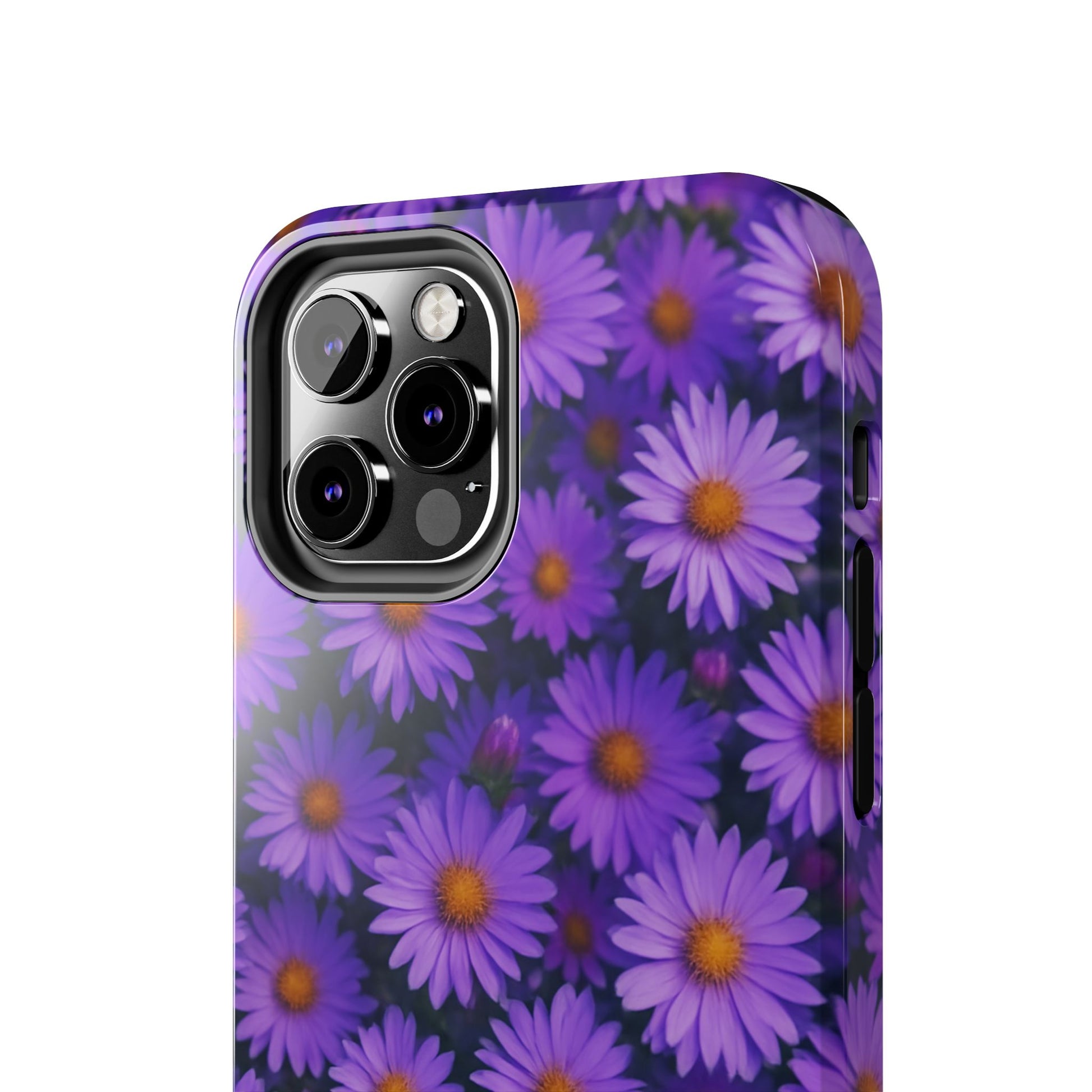 Lavender Daisy