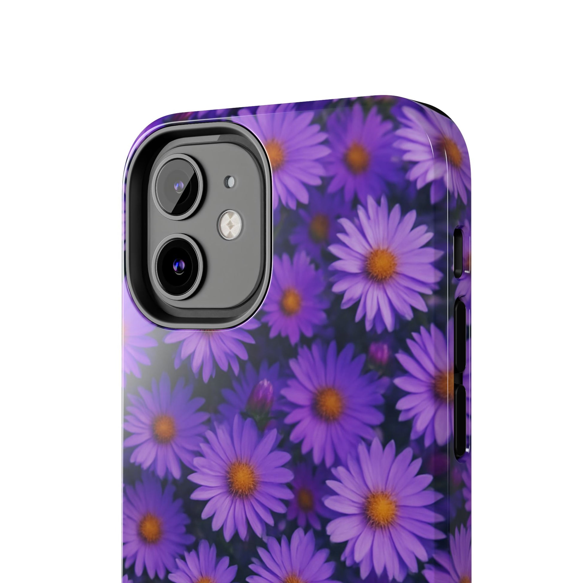 Lavender Daisy