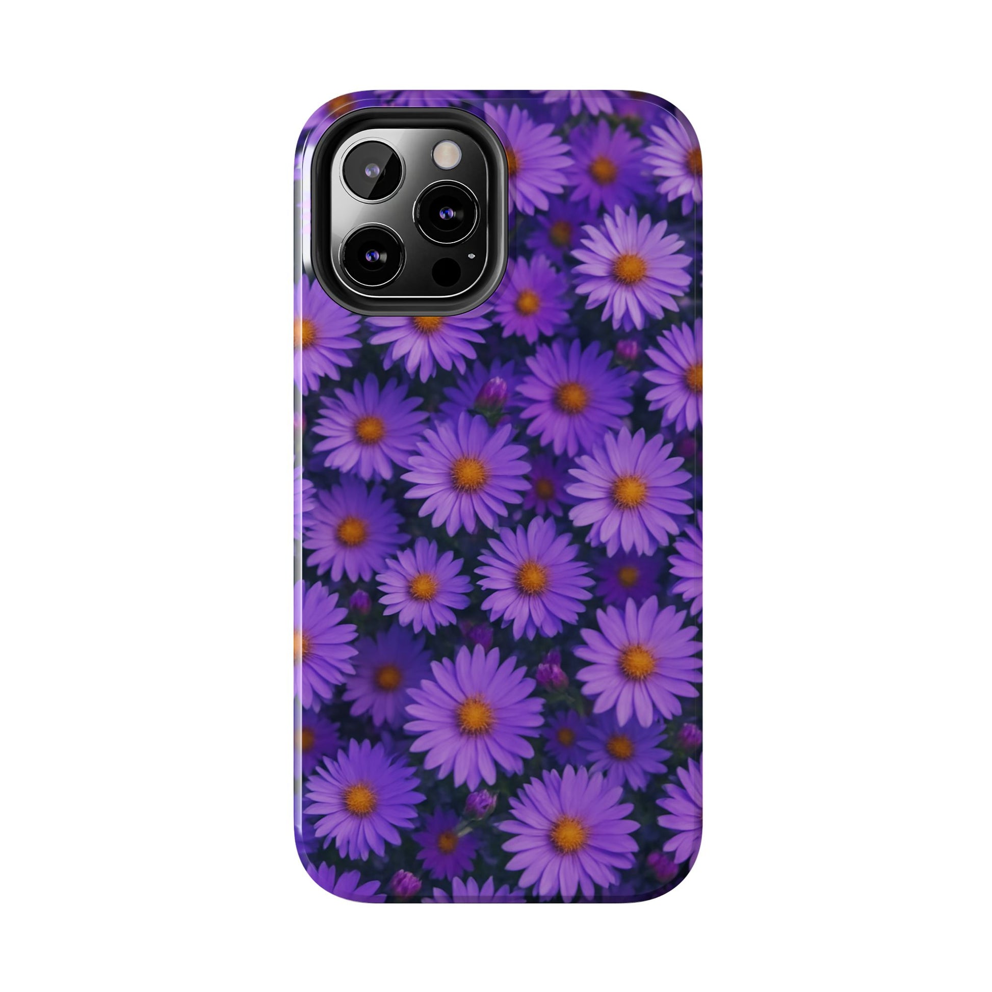 Lavender Daisy
