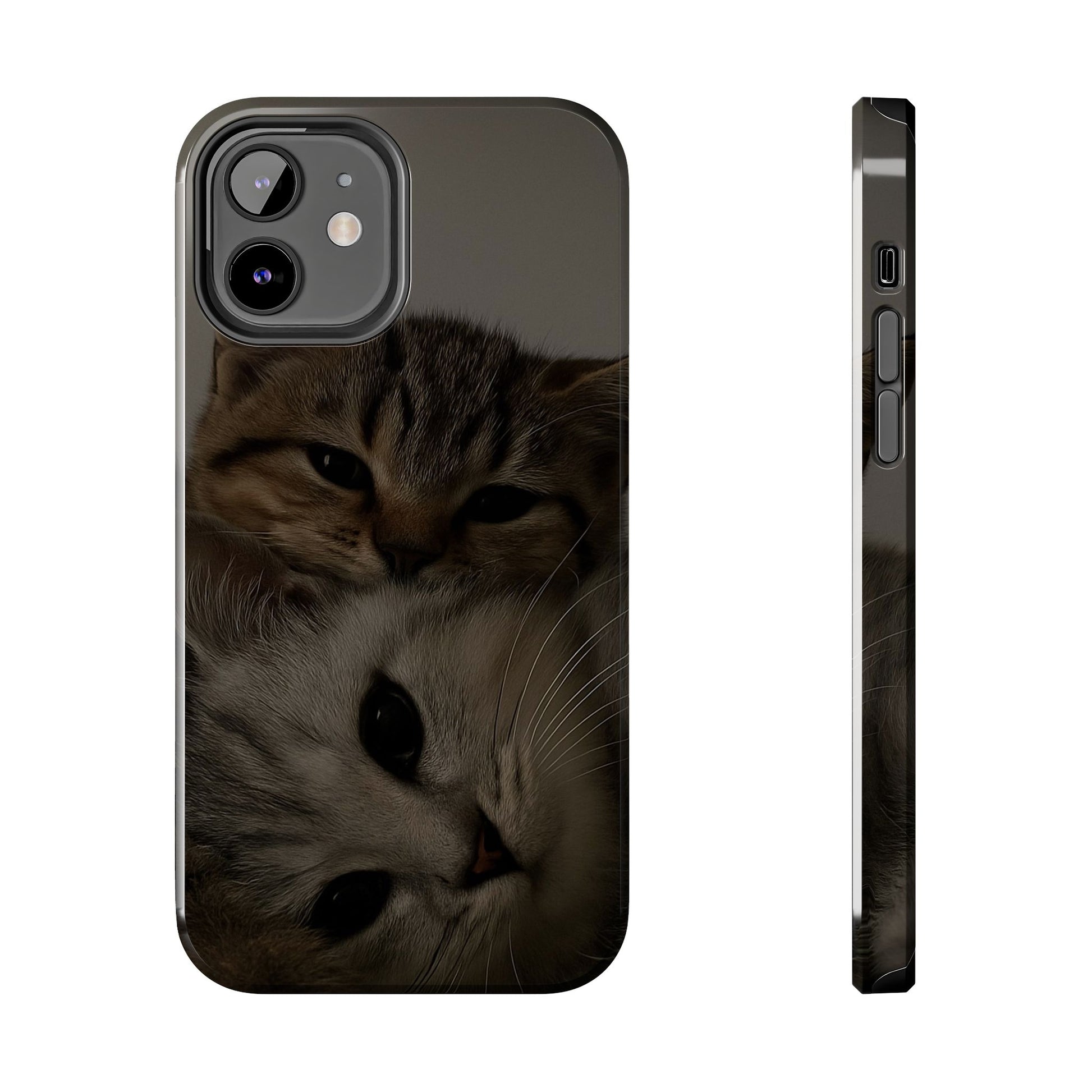 Purring Duo