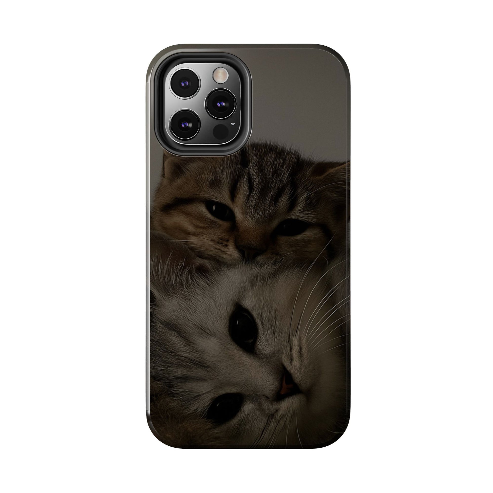 Purring Duo