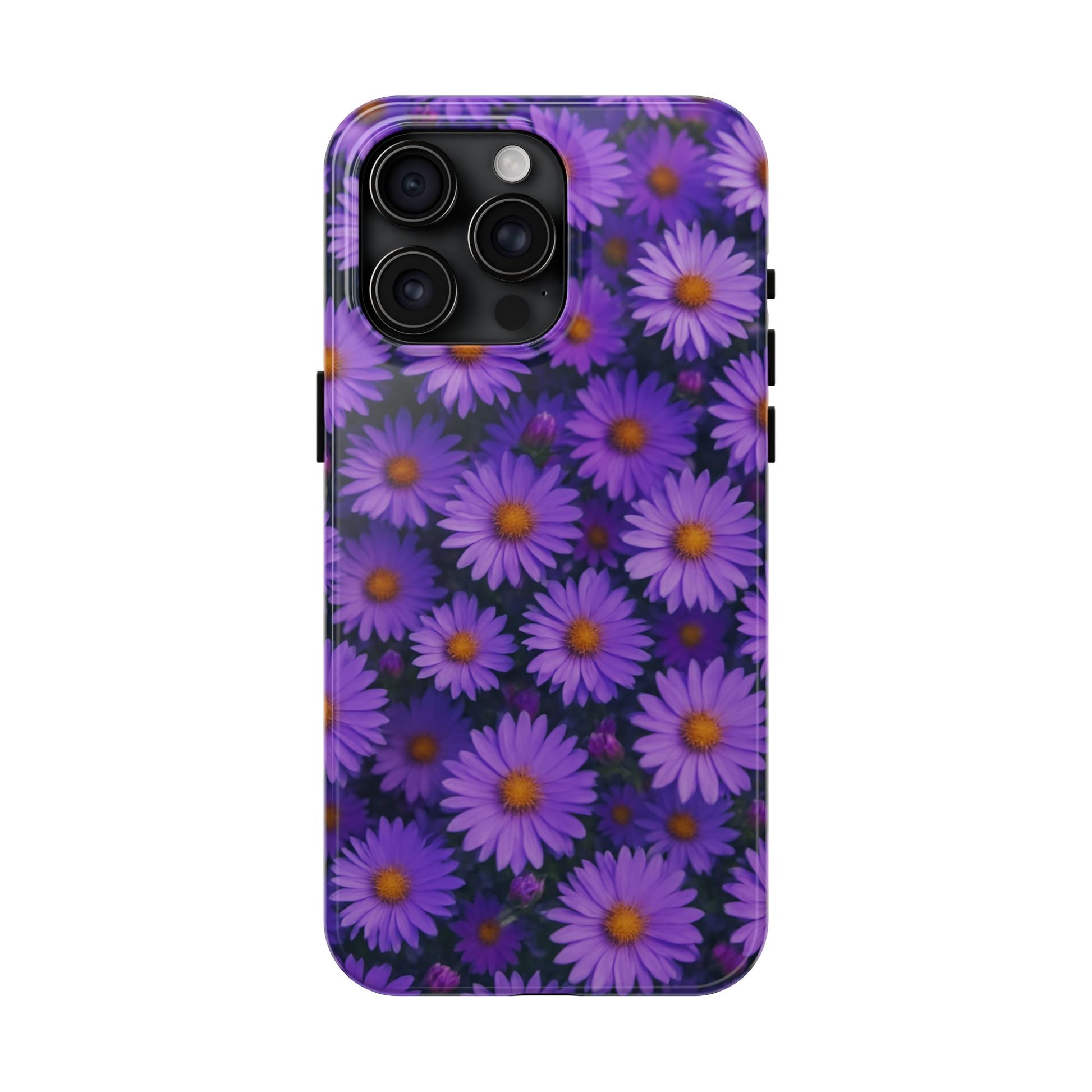 Lavender Daisy