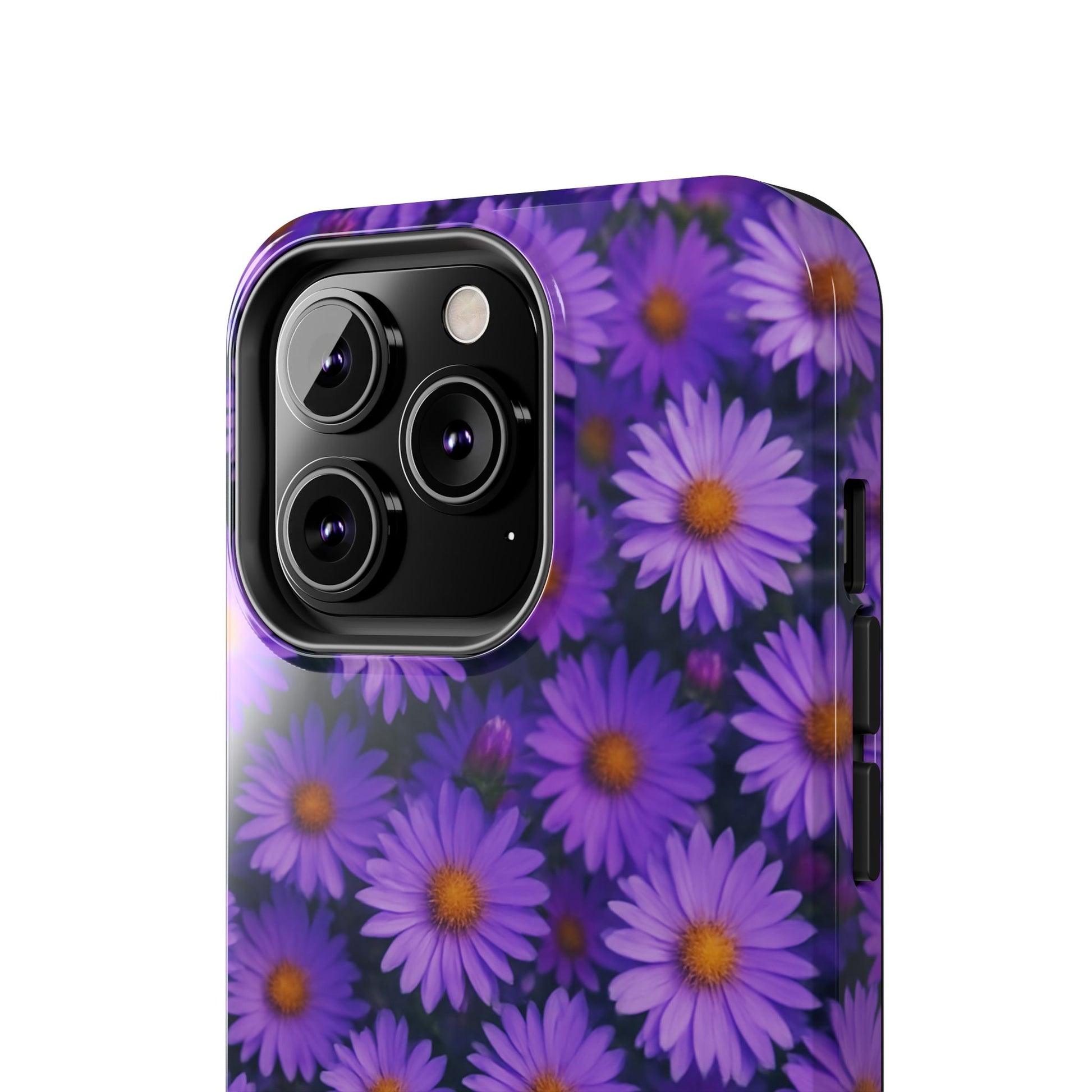 Lavender Daisy