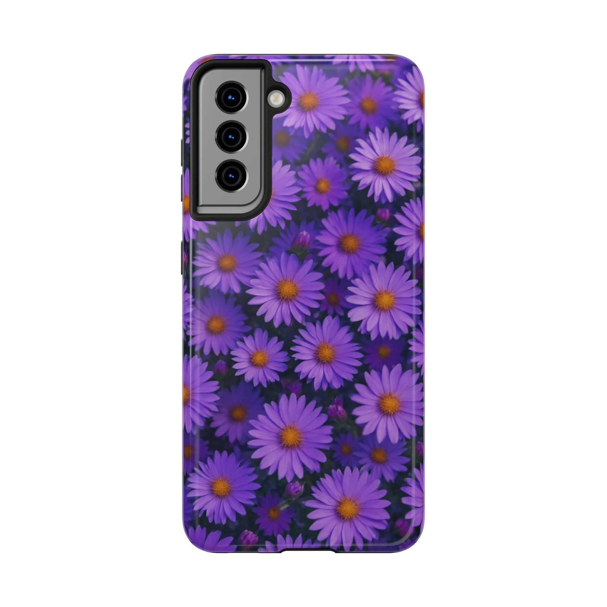 Lavender Daisy