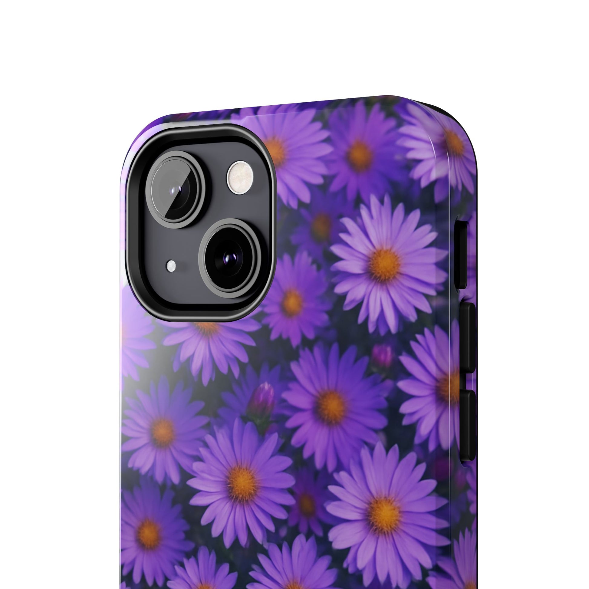Lavender Daisy