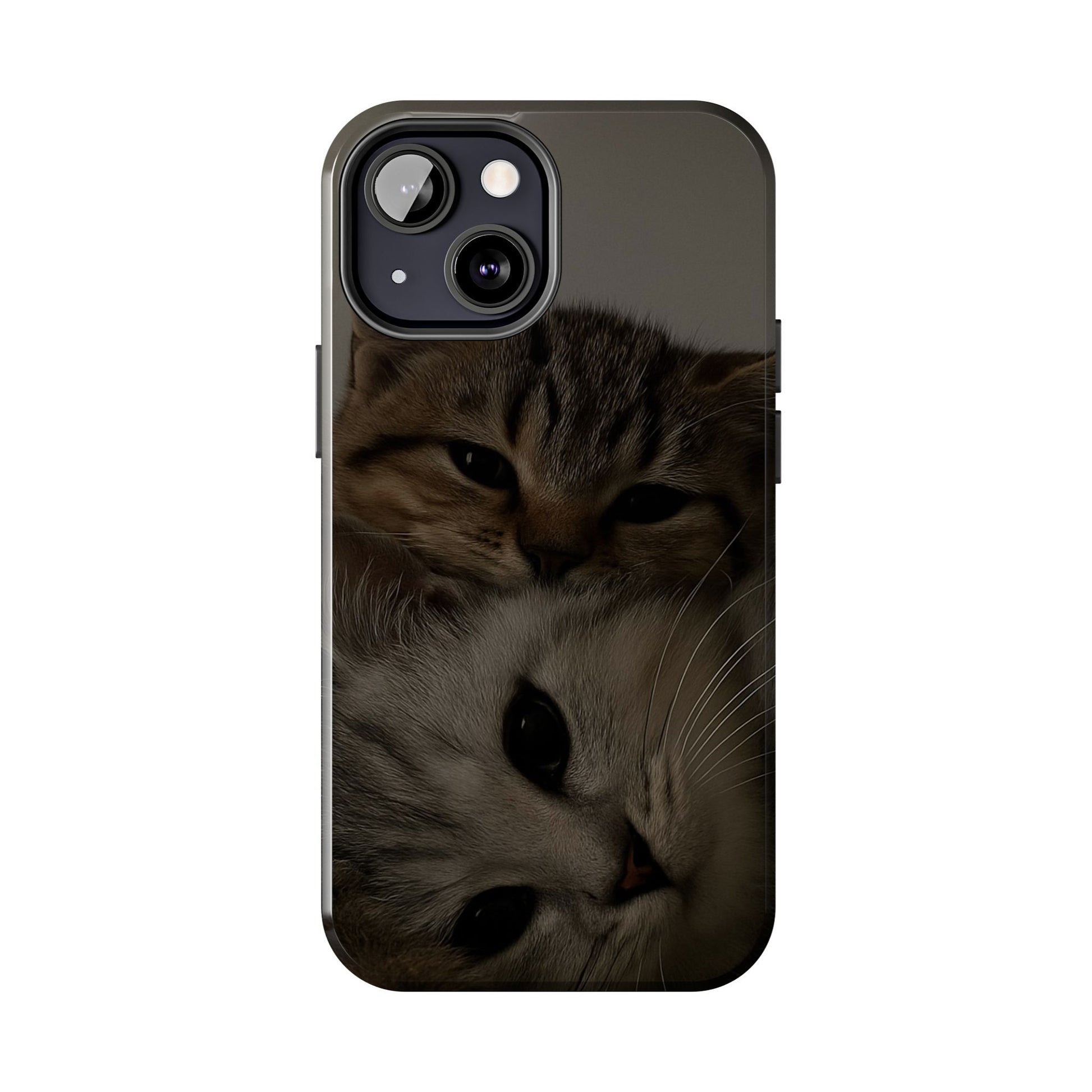 Purring Duo
