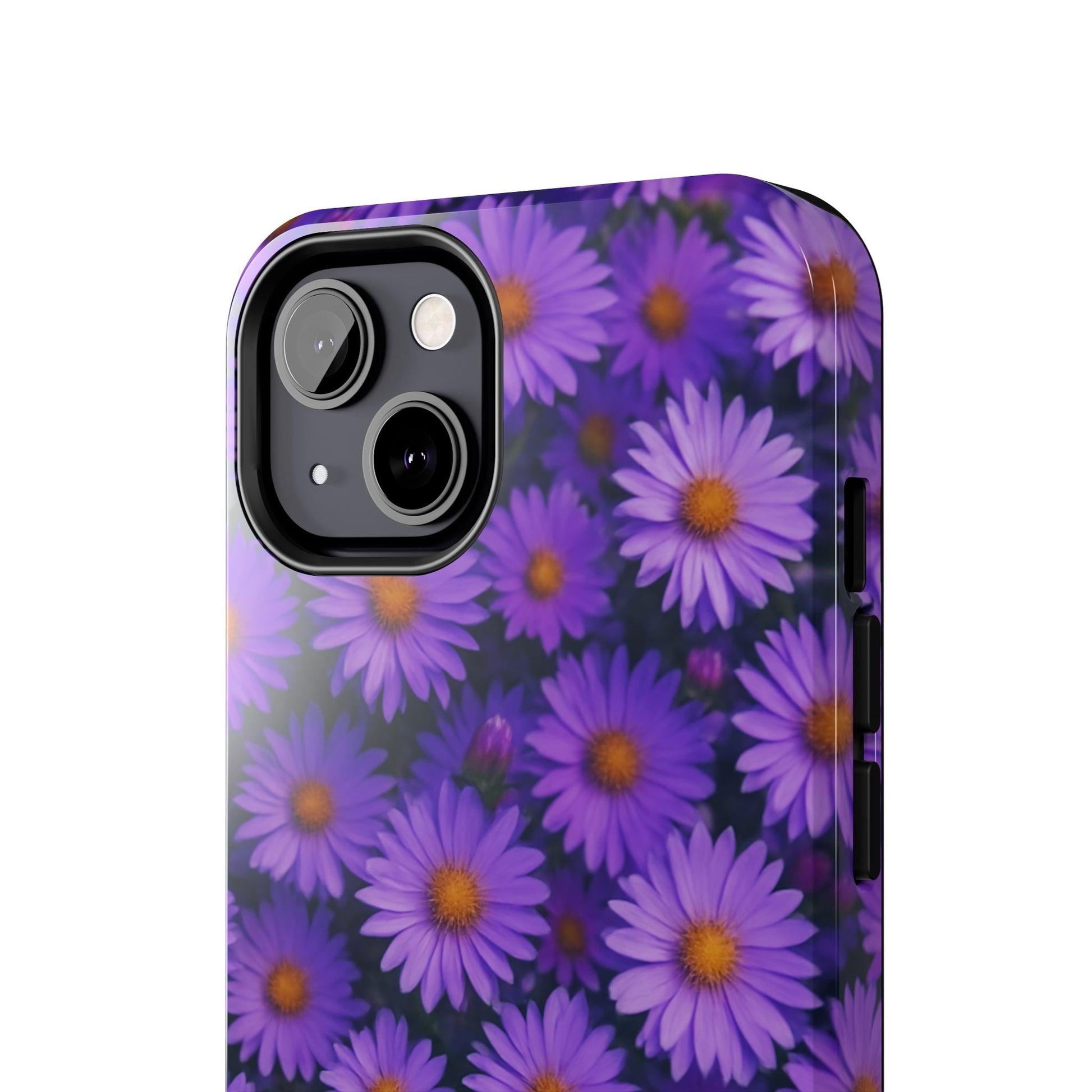 Lavender Daisy