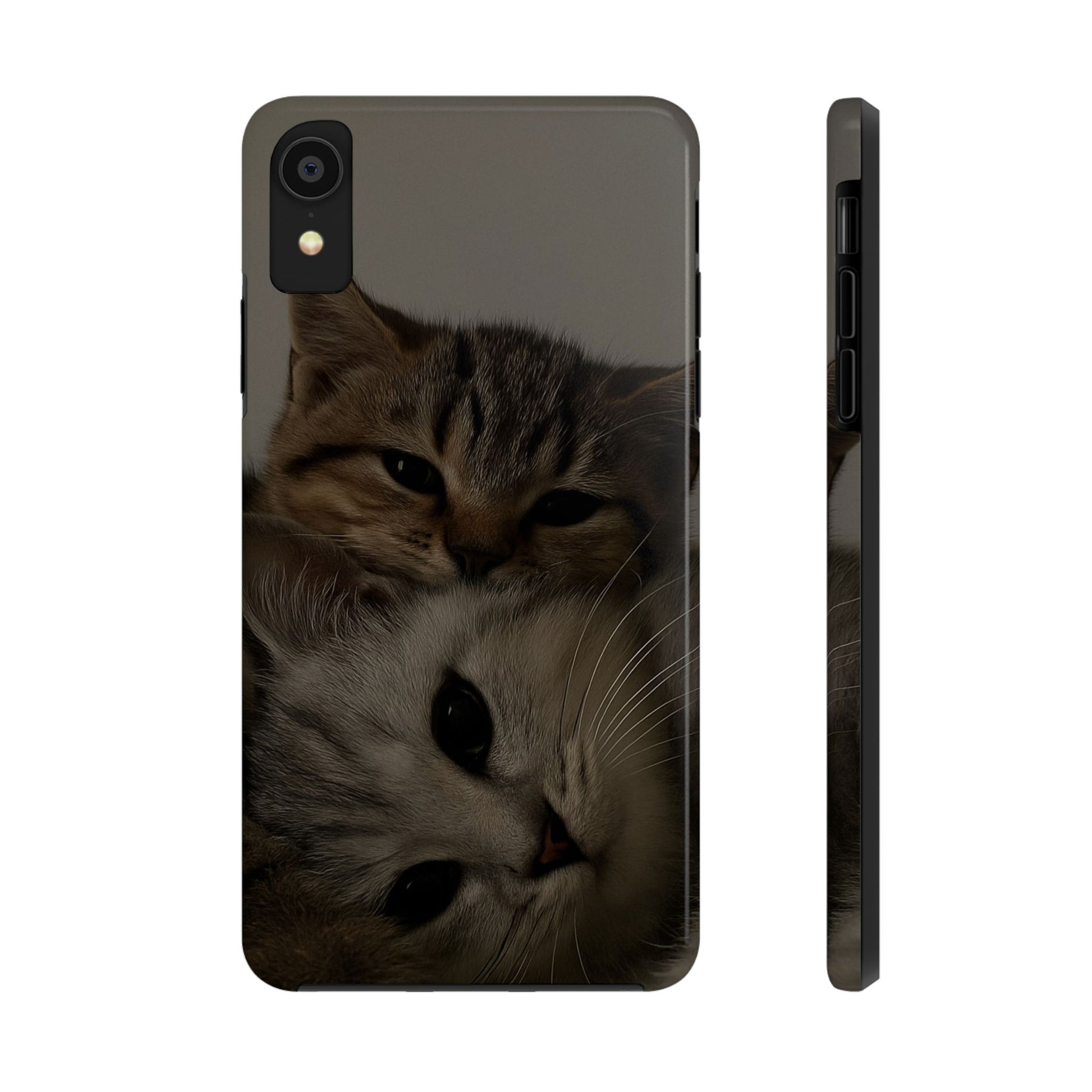 Purring Duo