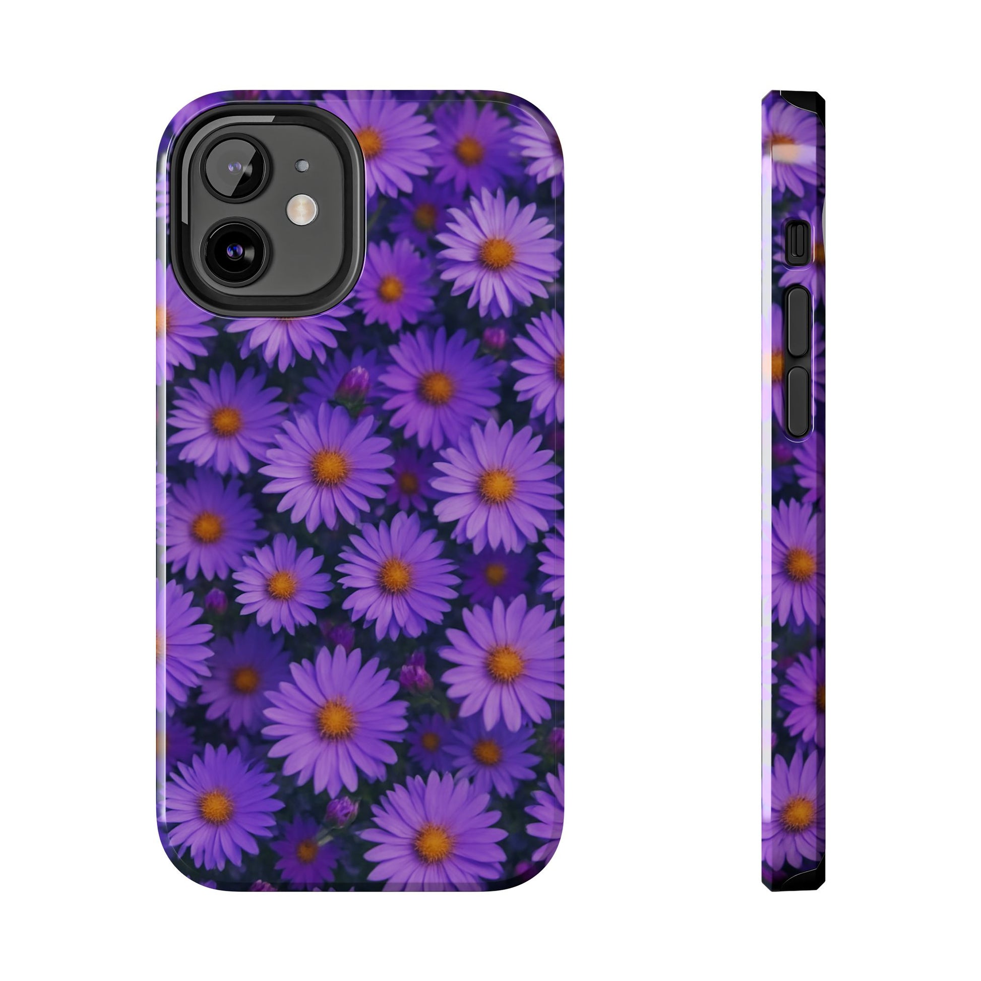 Lavender Daisy