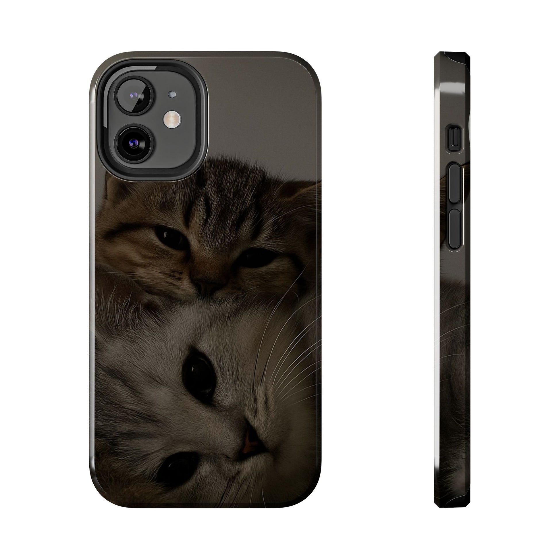 Purring Duo